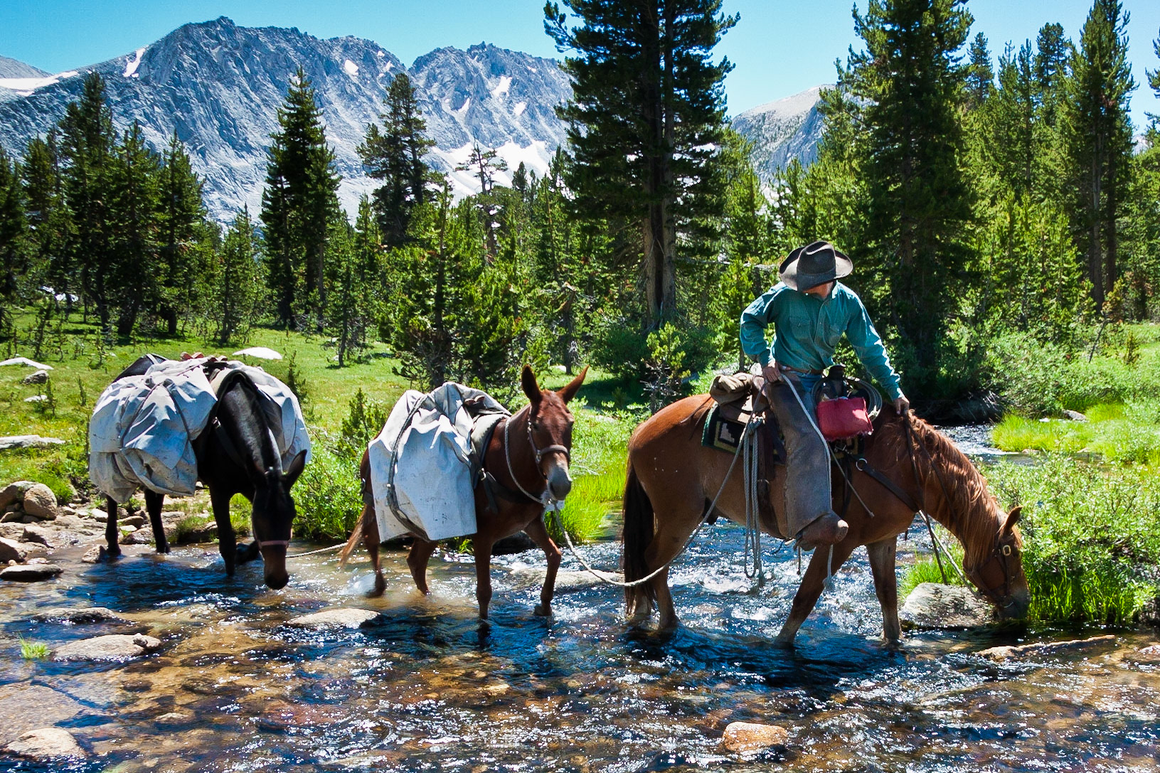 Stream Crossing
