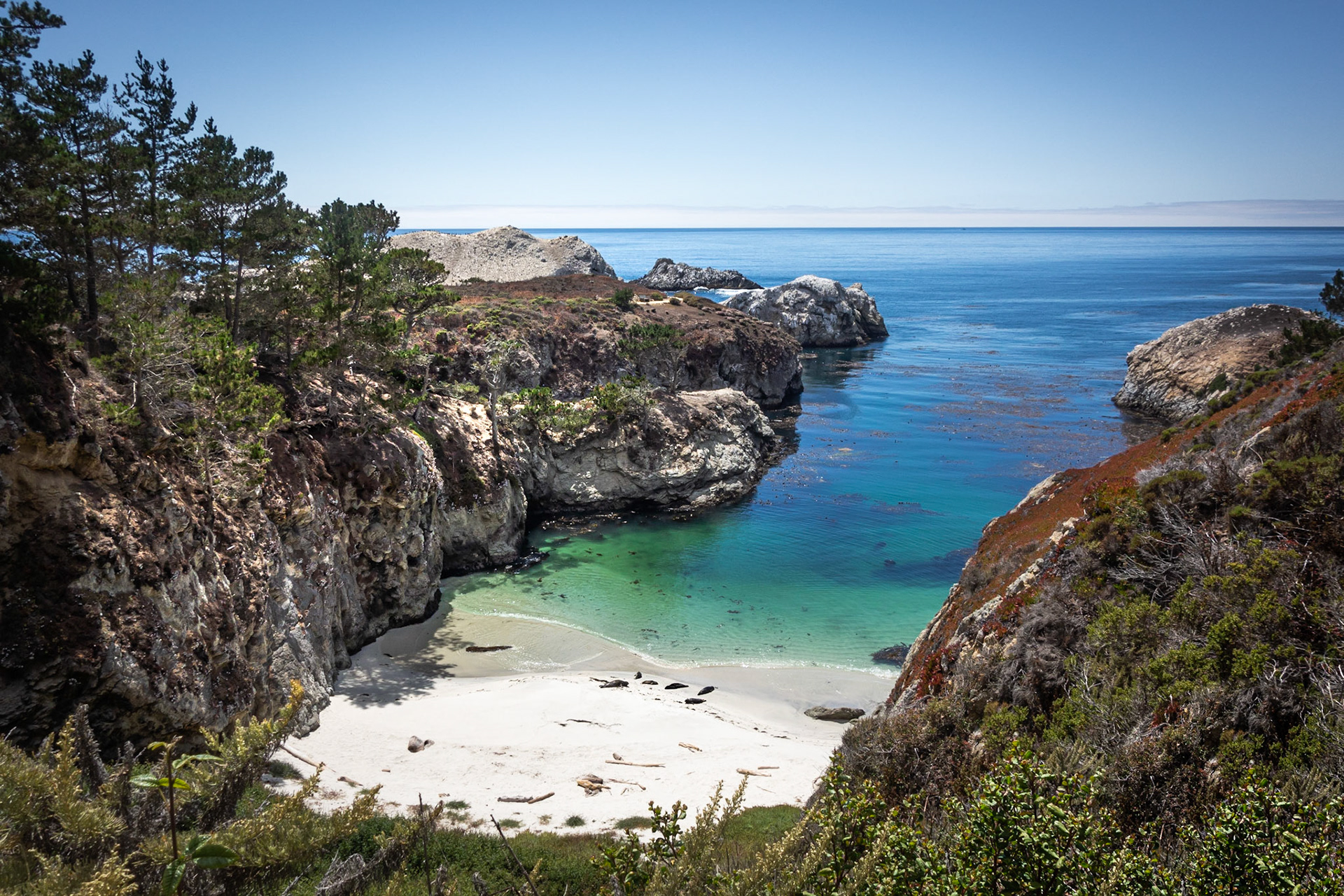 Point Lobos