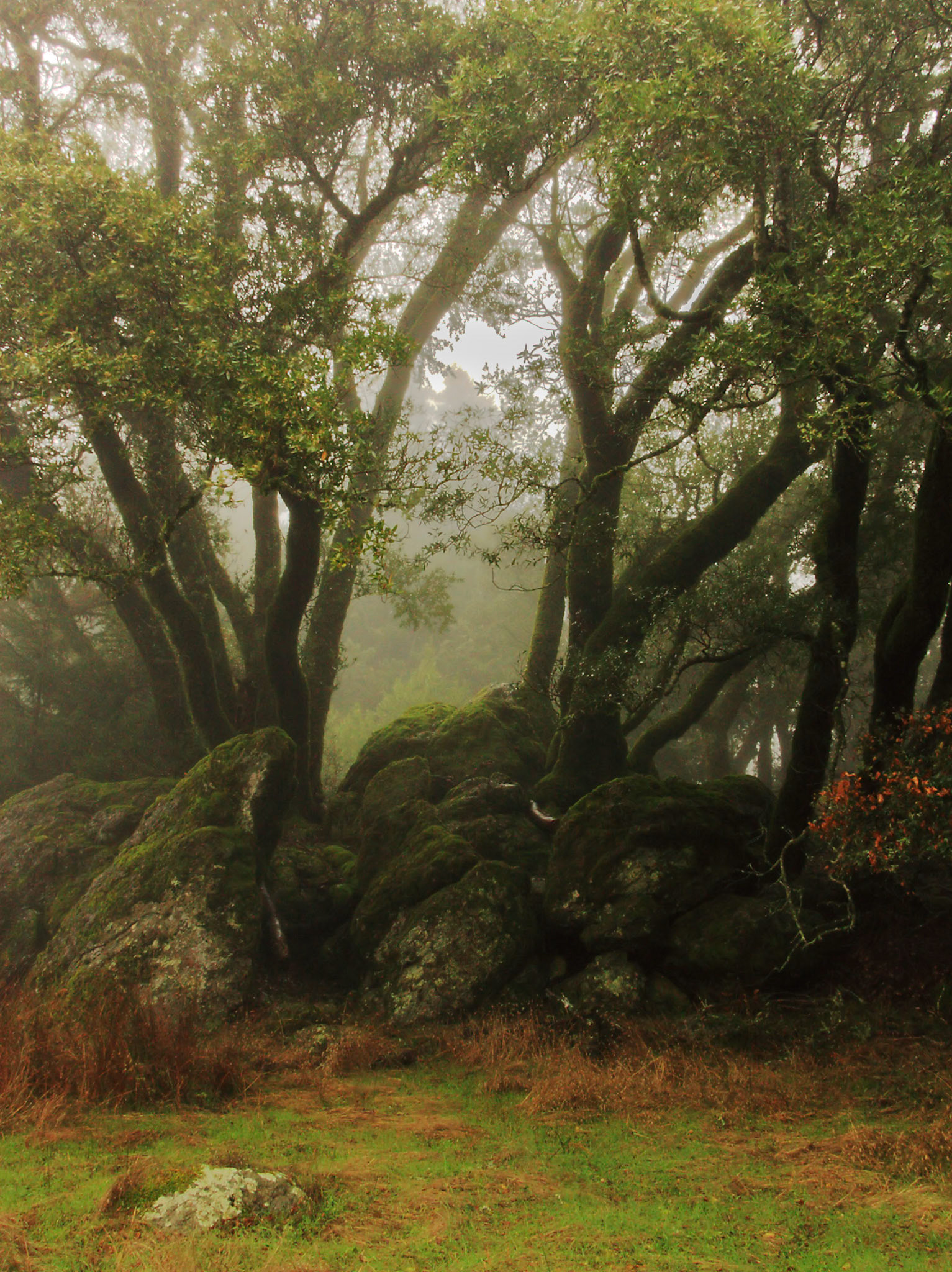 Rock Spring