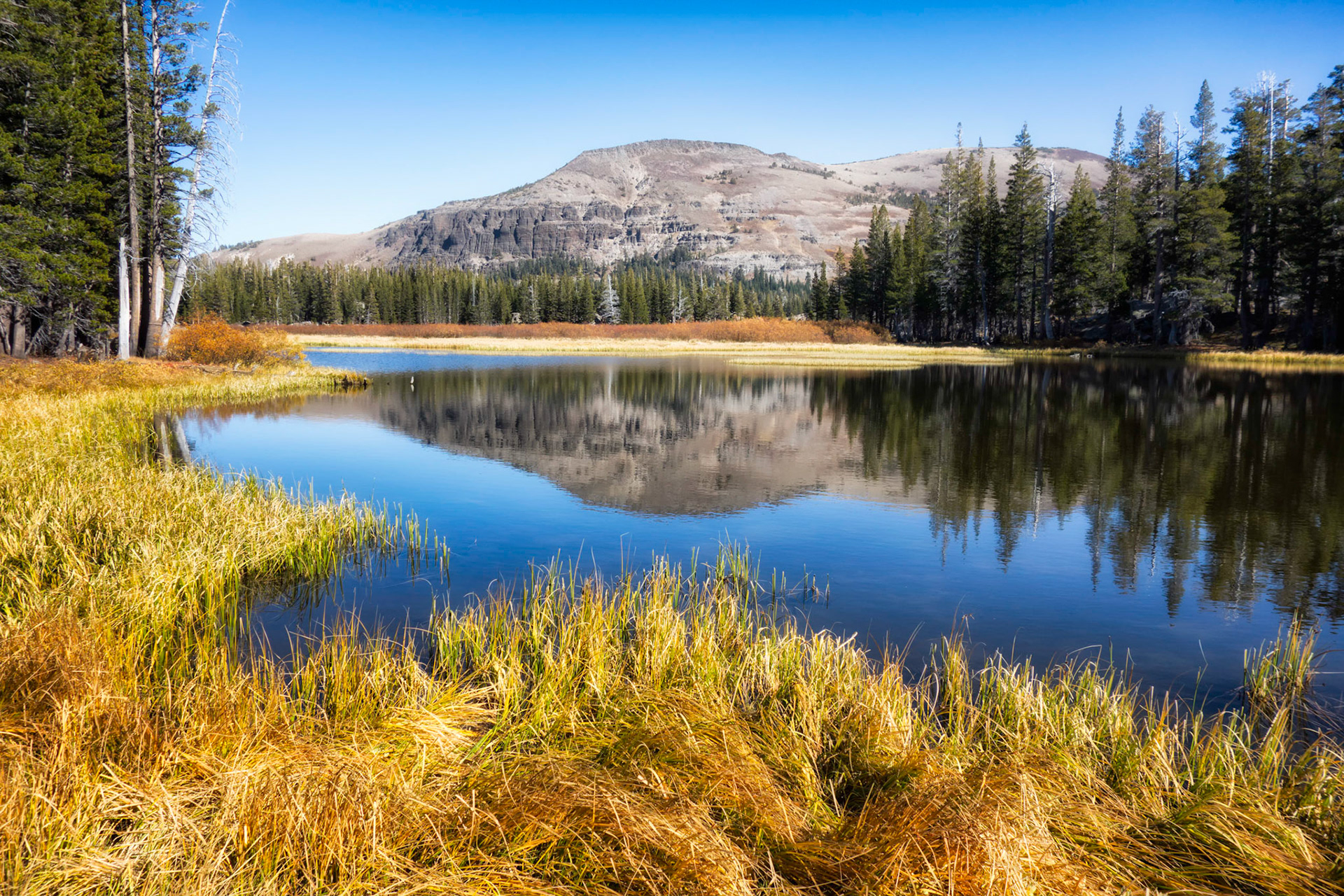 Meiss Meadow Pond