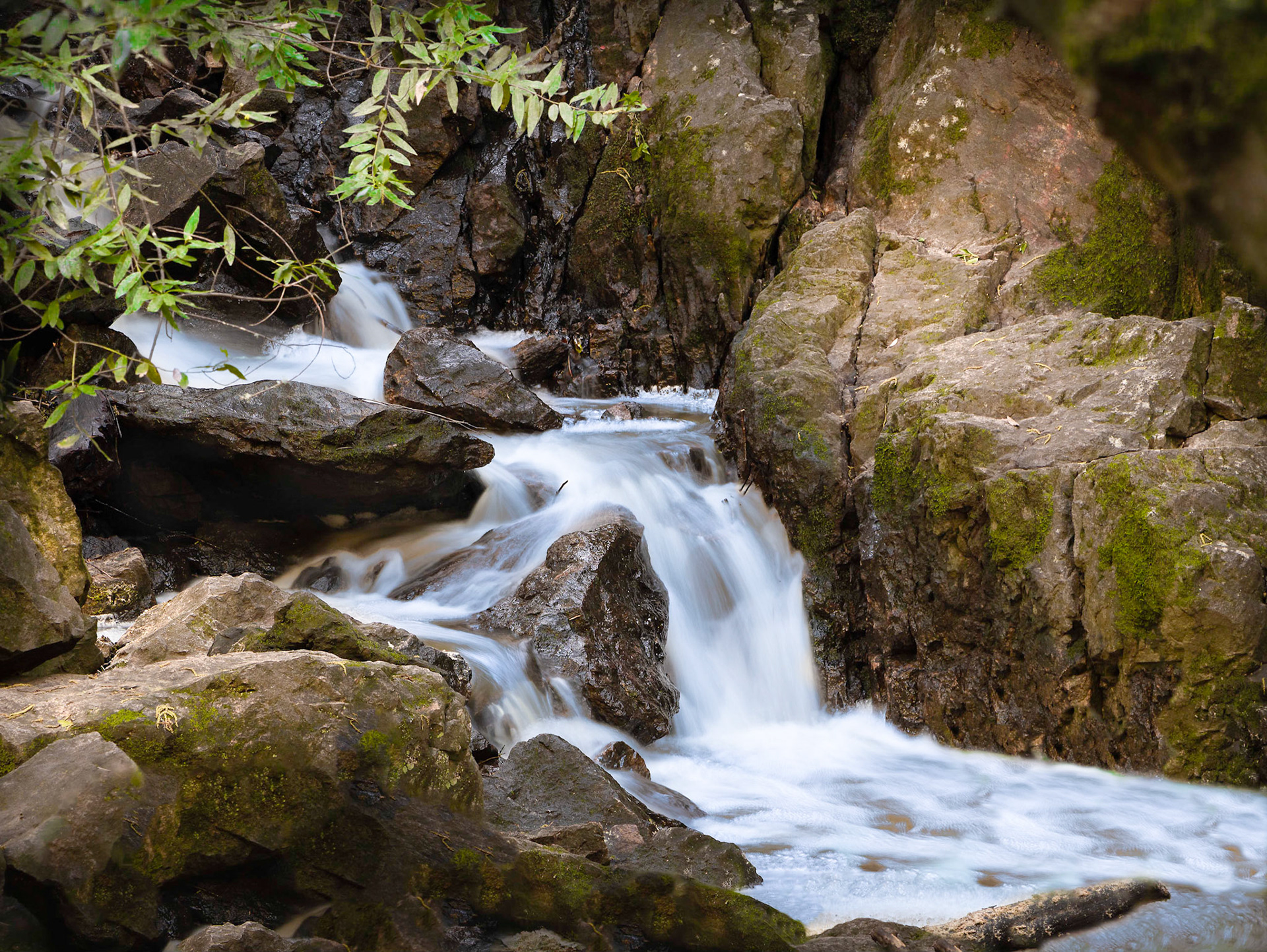 Wildcat Creek