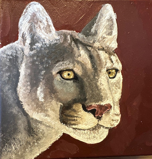 Cougar