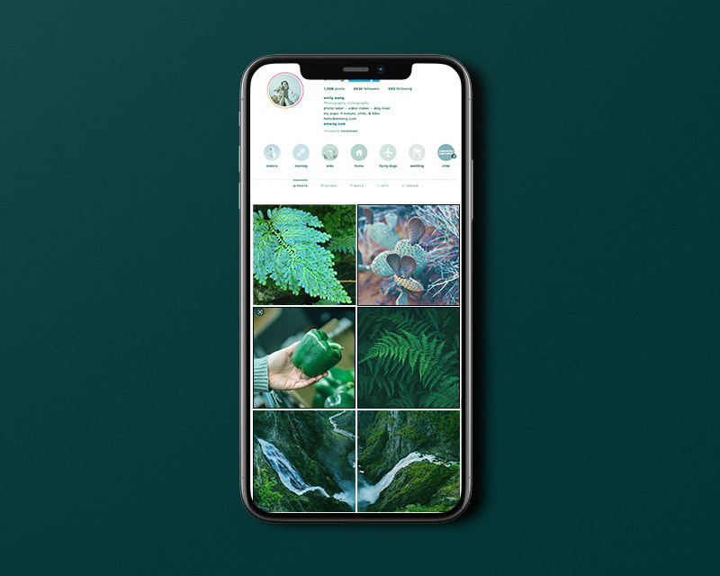 A mockup featuring a phone with an instagram grid style post feed using a green color scheme with color graded photos