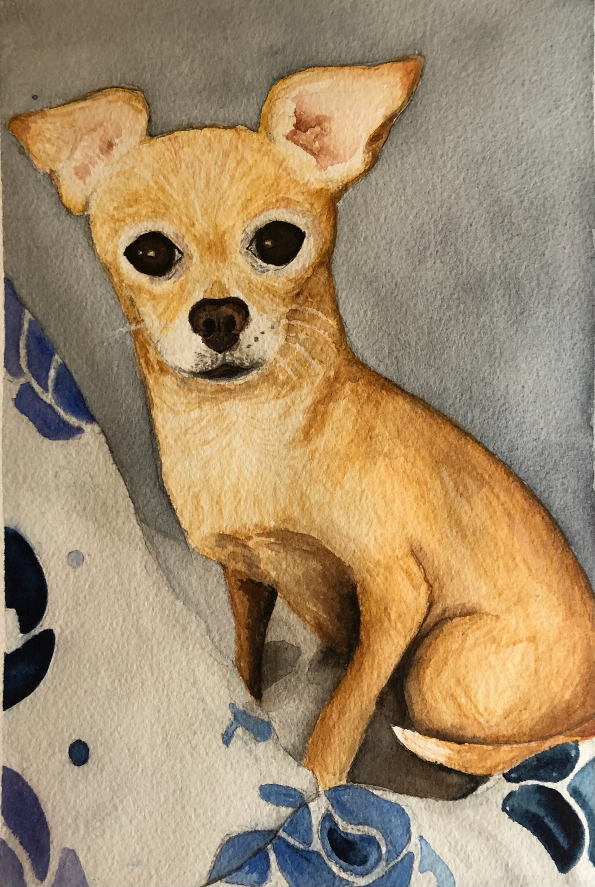 Daisy the Chihuahua - 7" x 10"