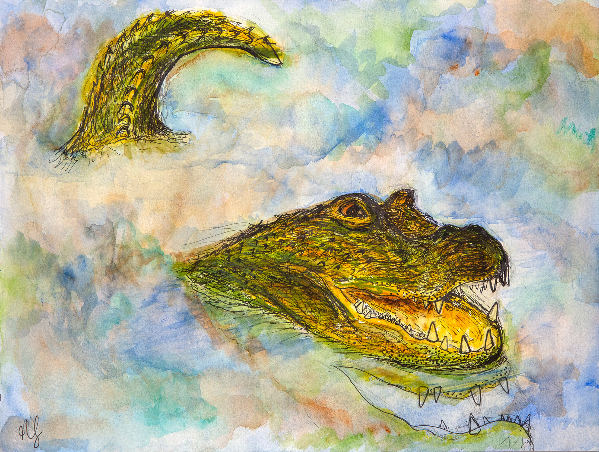 Alligator 12" x 9"