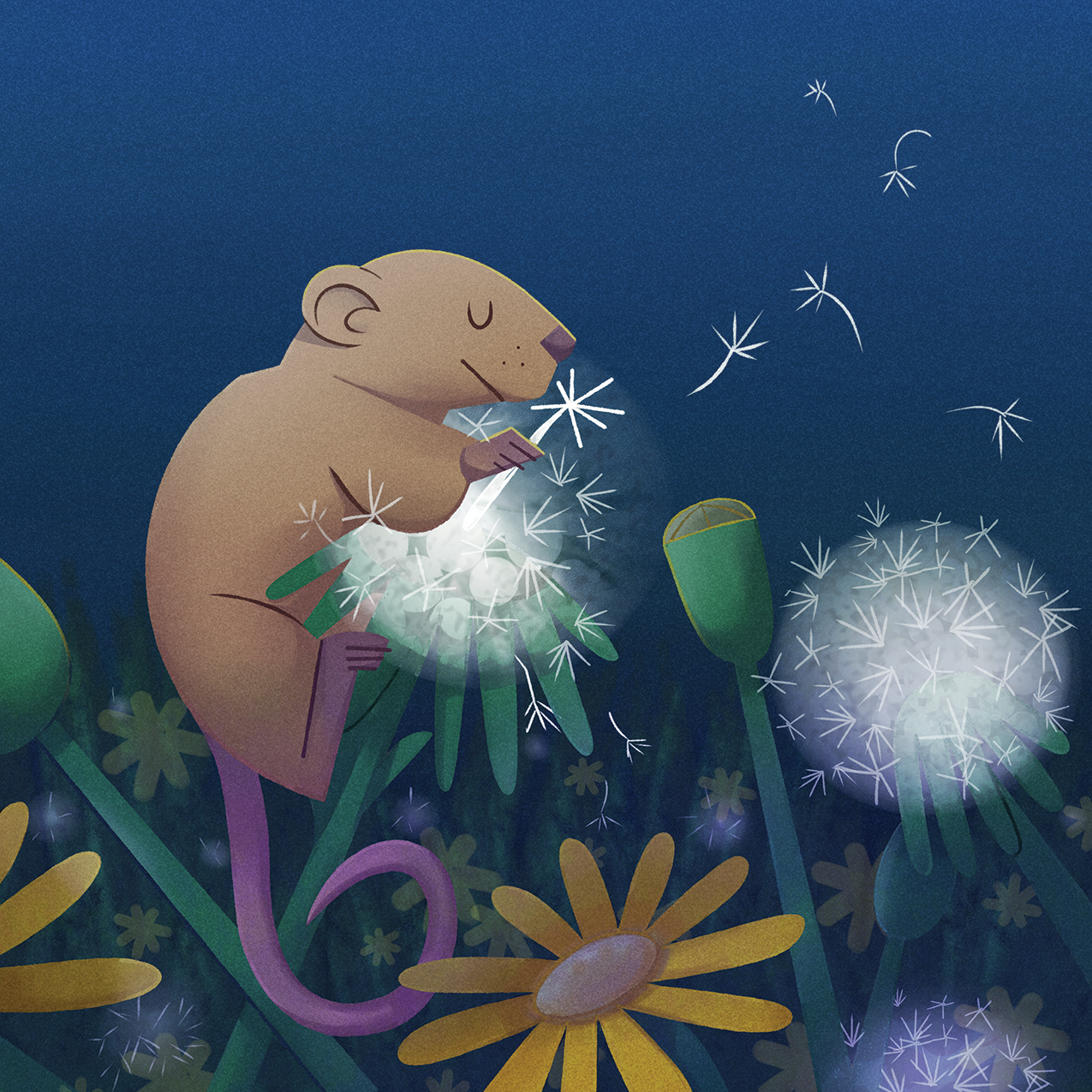 Illustration for the Library of VA