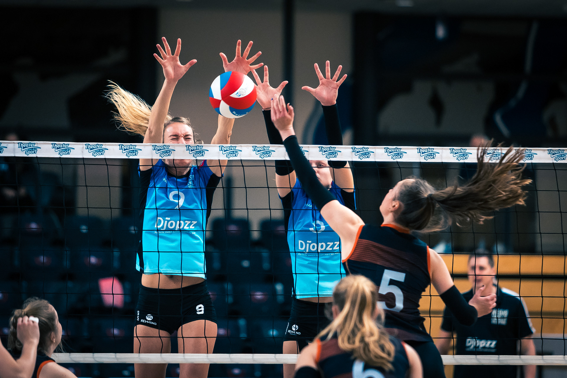 Volleybal Eredivisie Dames