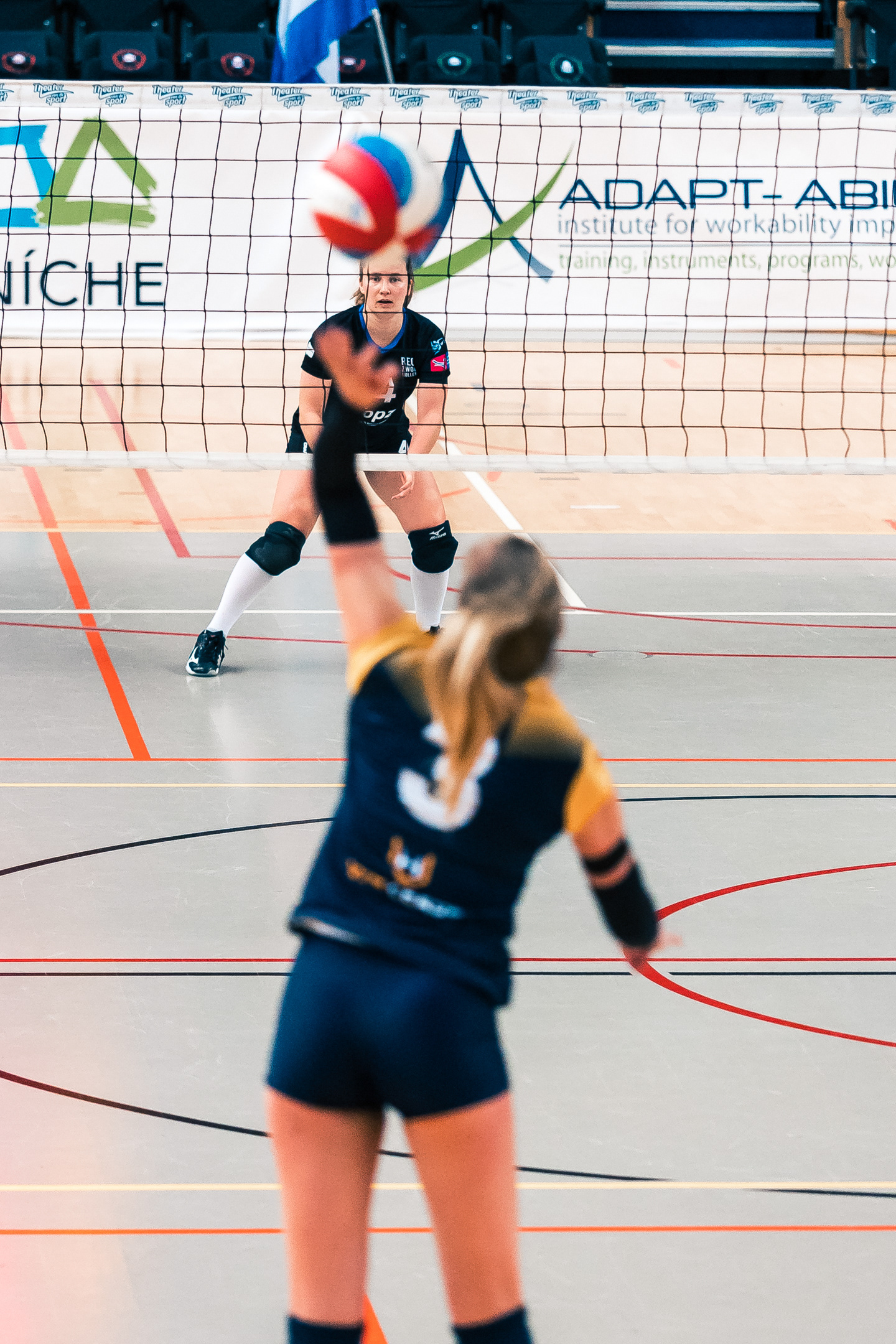 Volleybal Eredivisie Dames