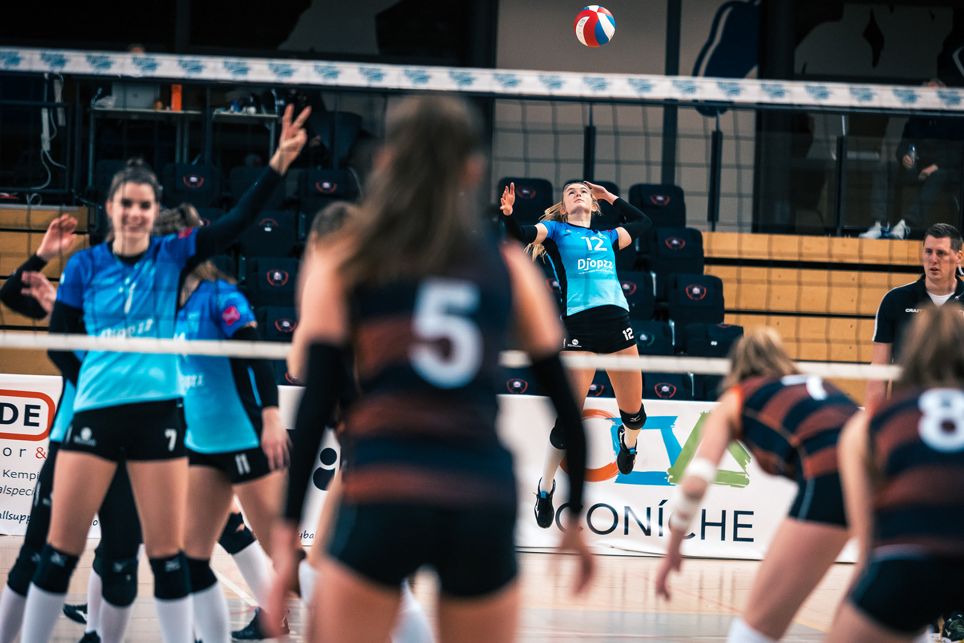 Volleybal Eredivisie Dames