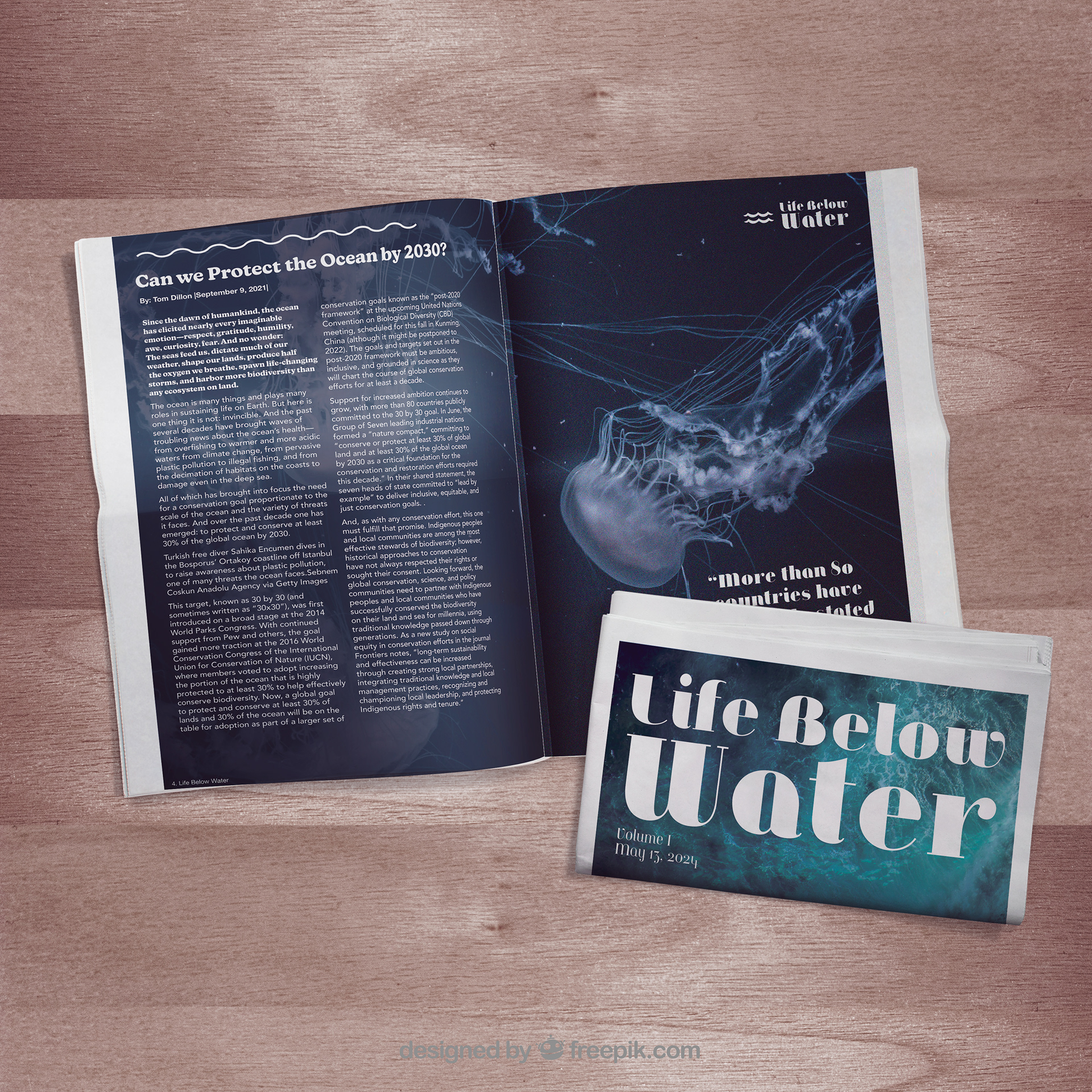 Newspaper Mockup 2