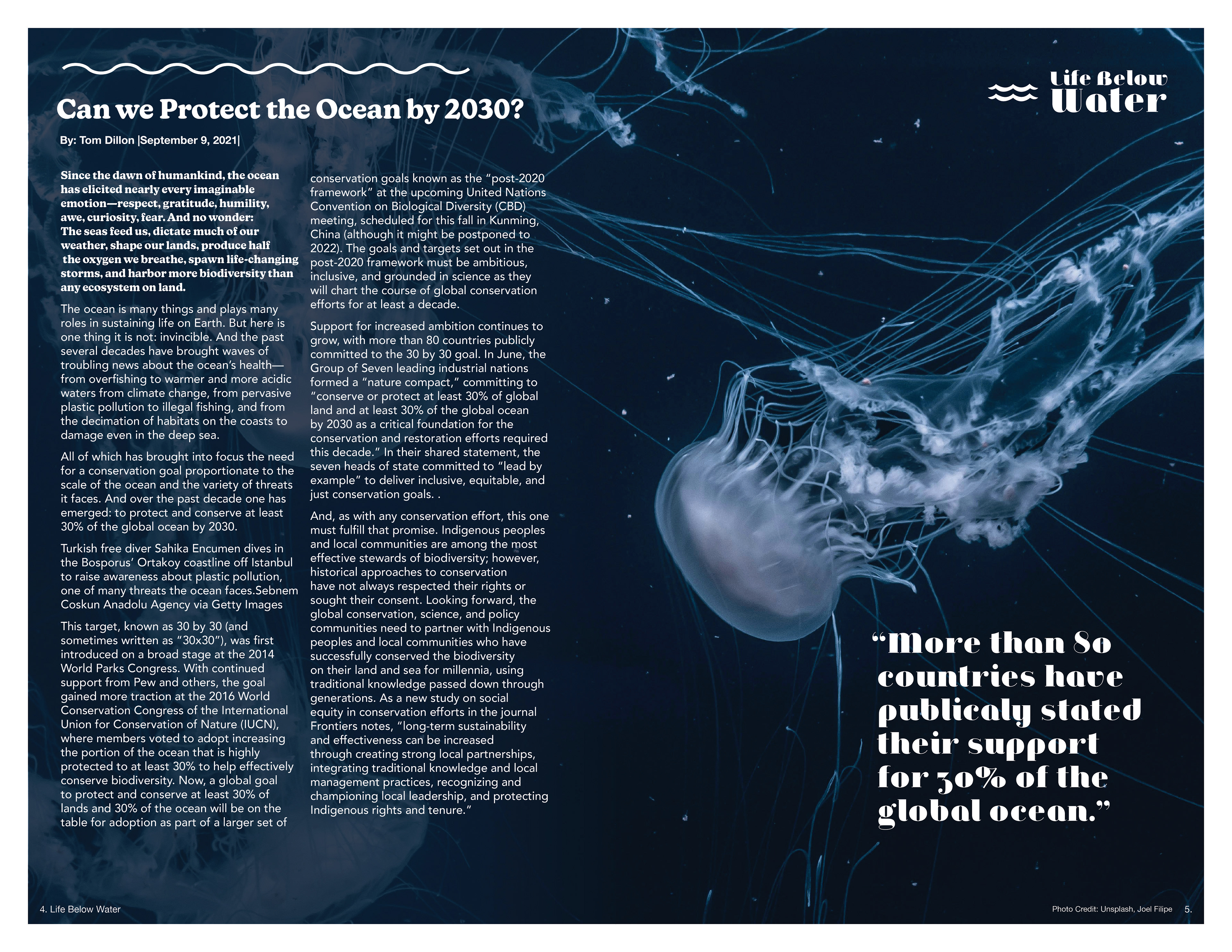 Excerpt from Can we Protect the Ocean by 2030?