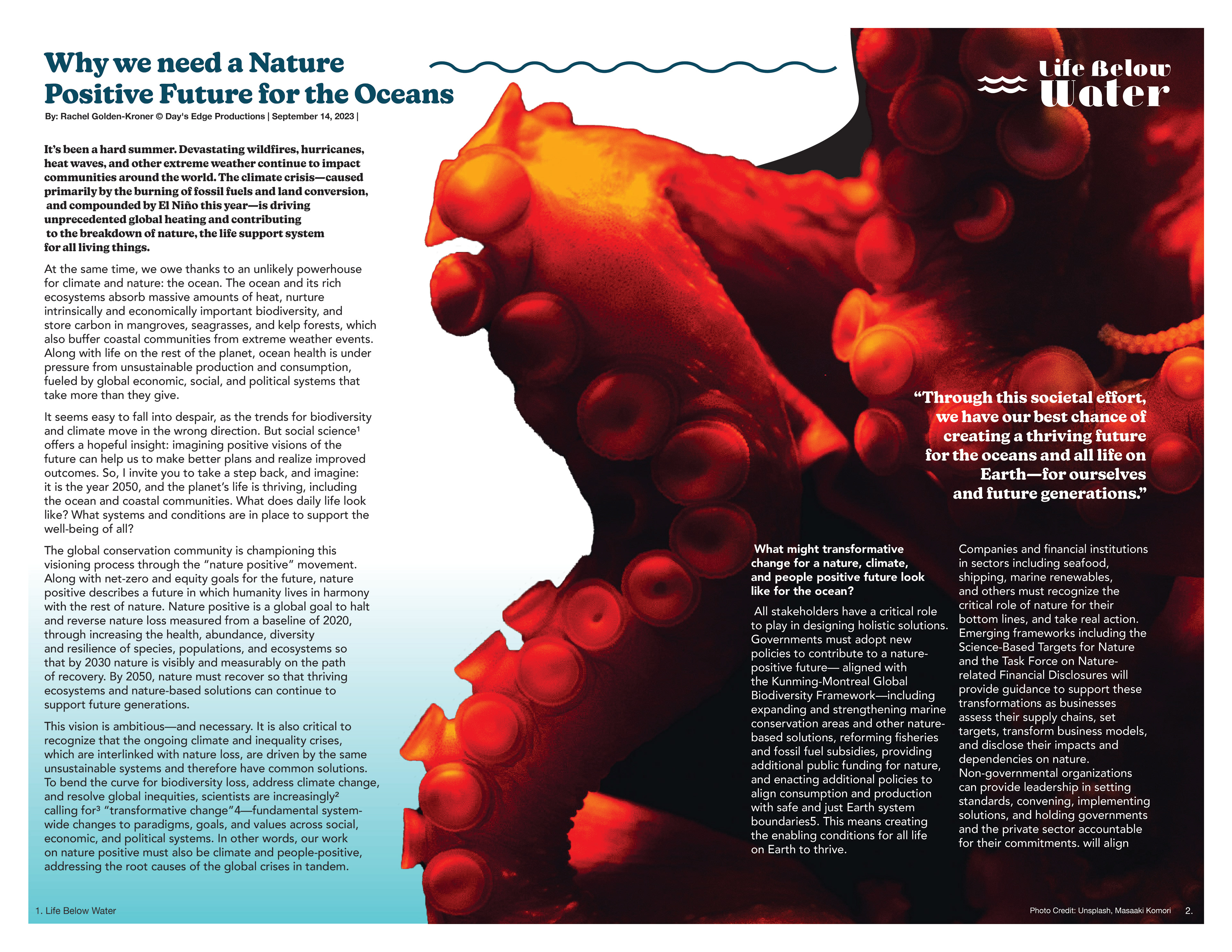 Excerpt from Why we need a Nature Positive Future for the Ocean