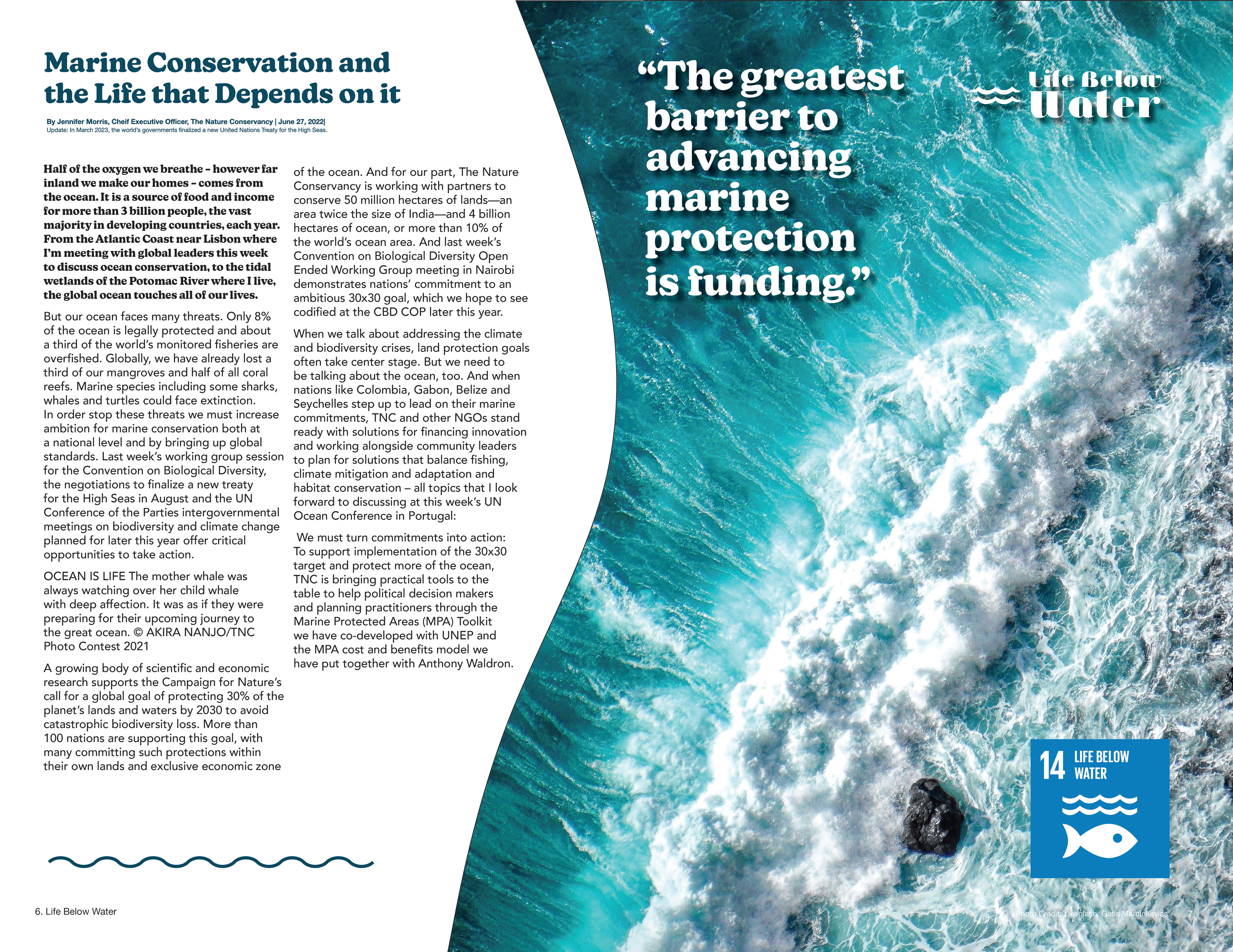 Excerpt from Marine Conservation and the Life that Depends on it