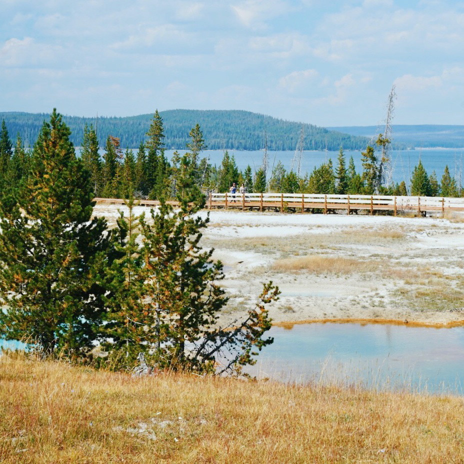 Yellowstone, 2018