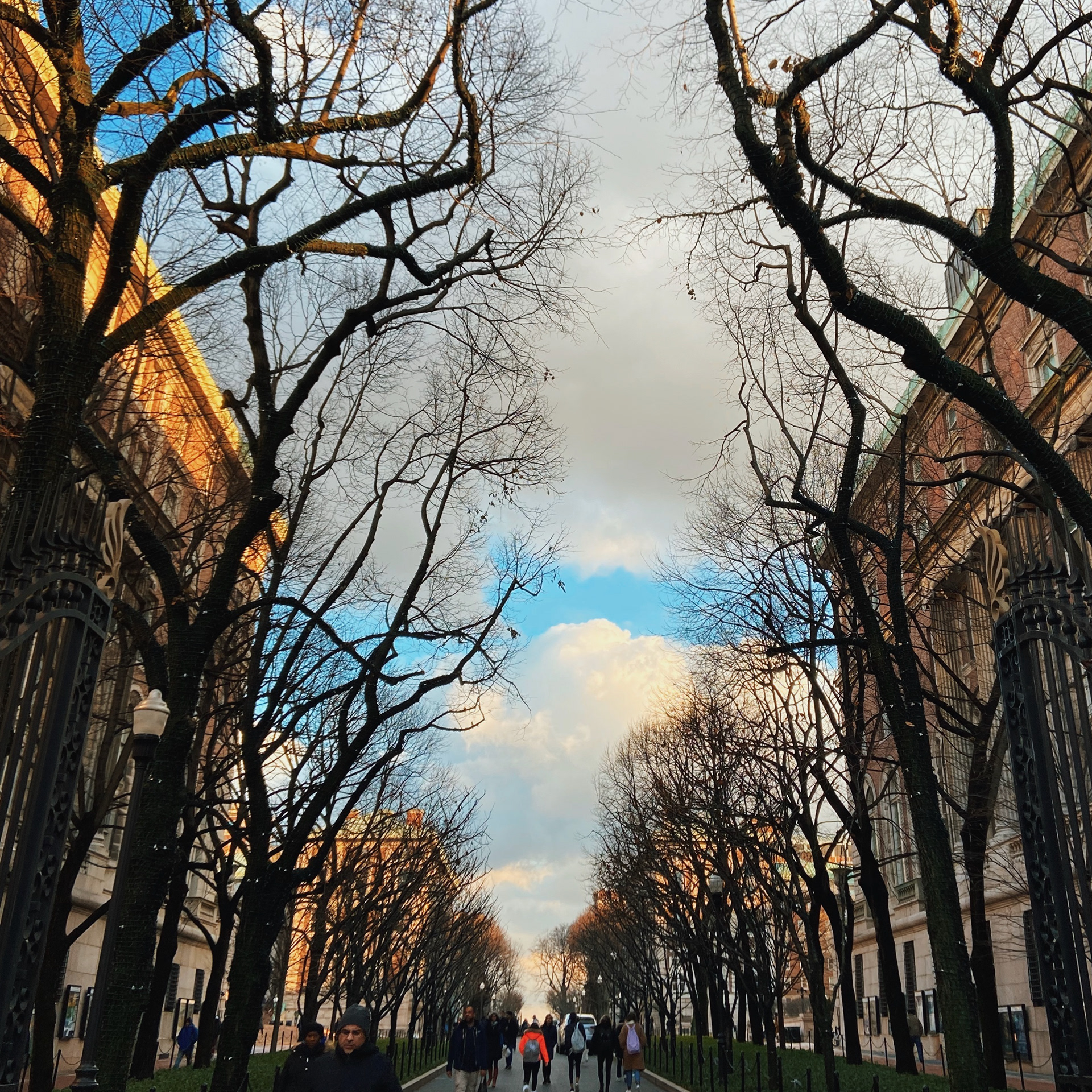 New York City, 2019
