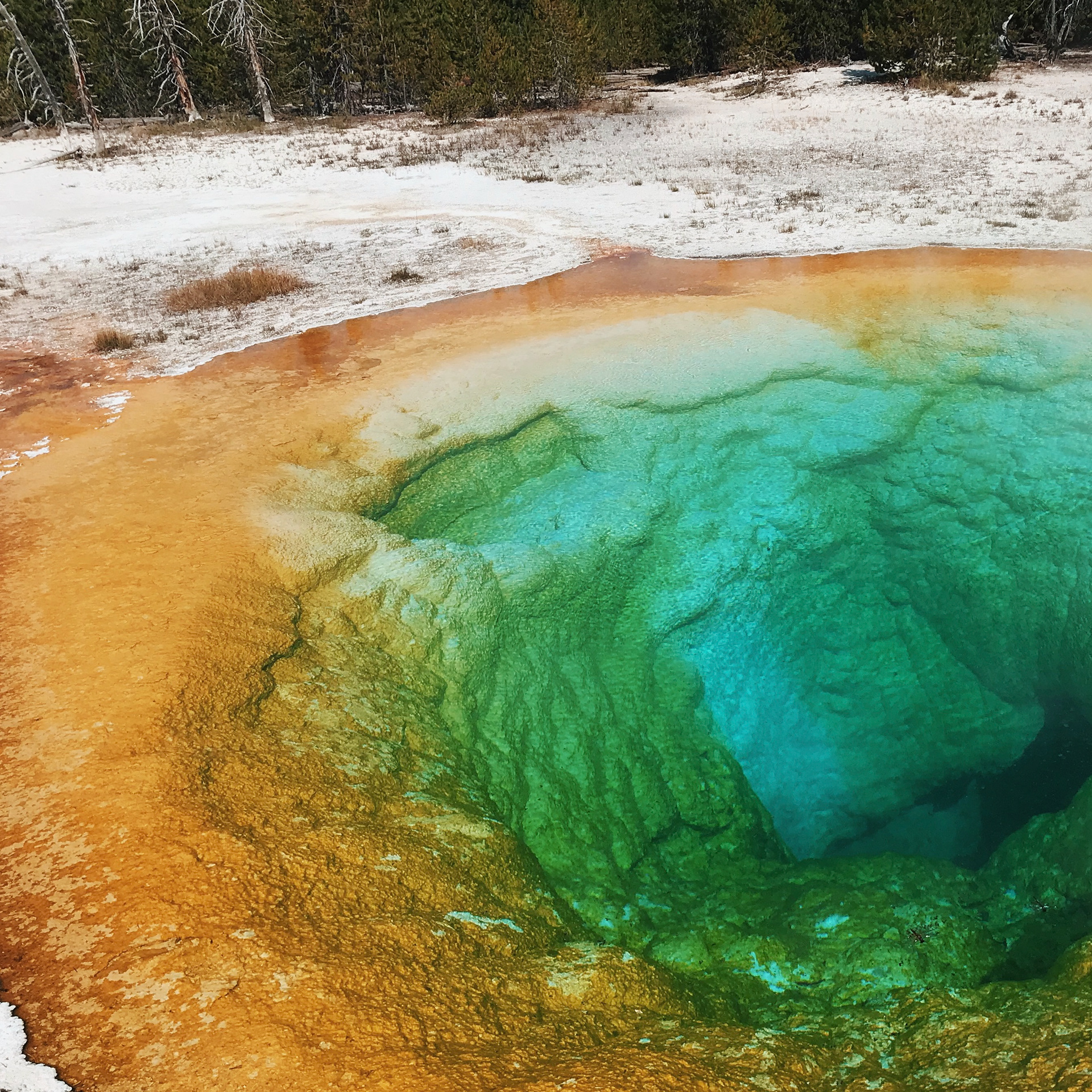 Yellowstone, 2018