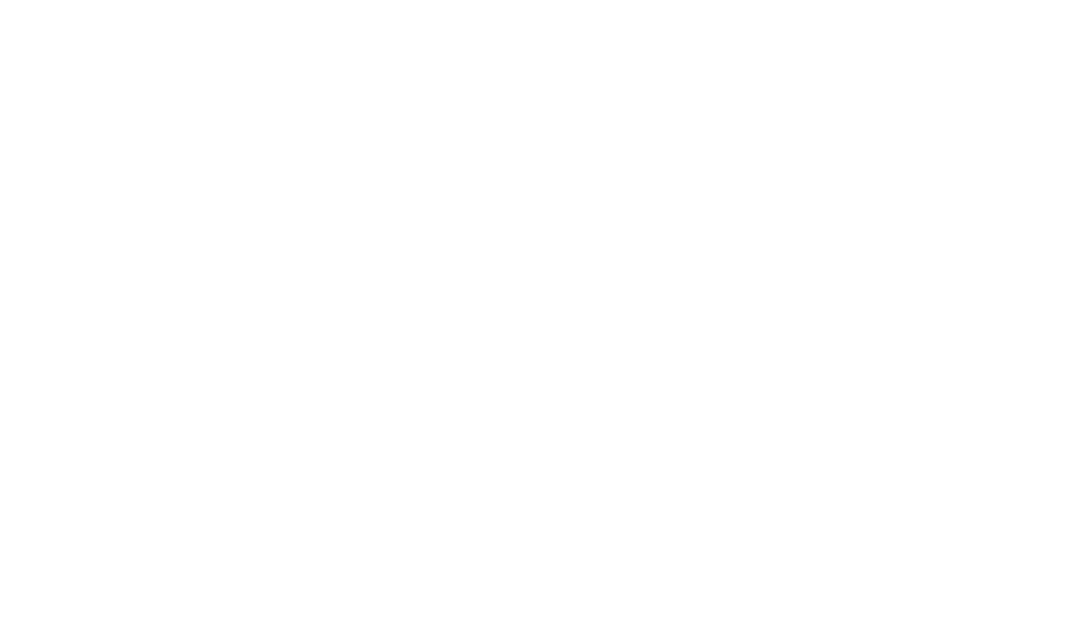 BVT MEDIA HOUSE 