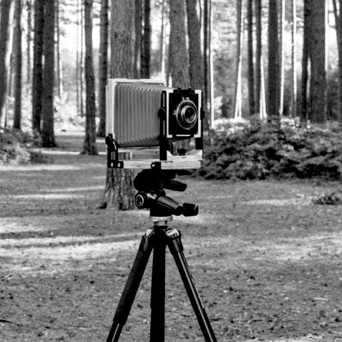 Intrepid in the field