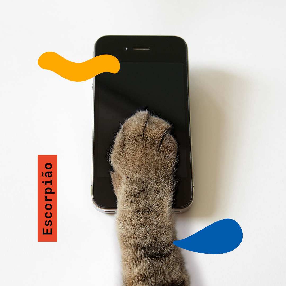 Scorpio: Always staying up-to-date with the latest news.