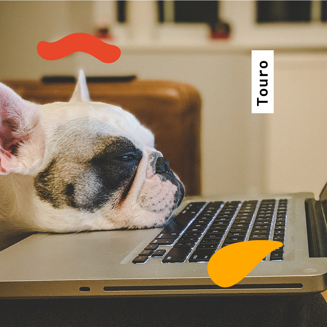 Taurus : lazy but persistent