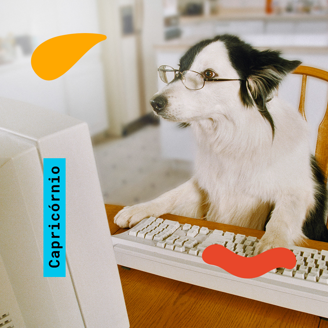  Capricorn: A funny workaholic