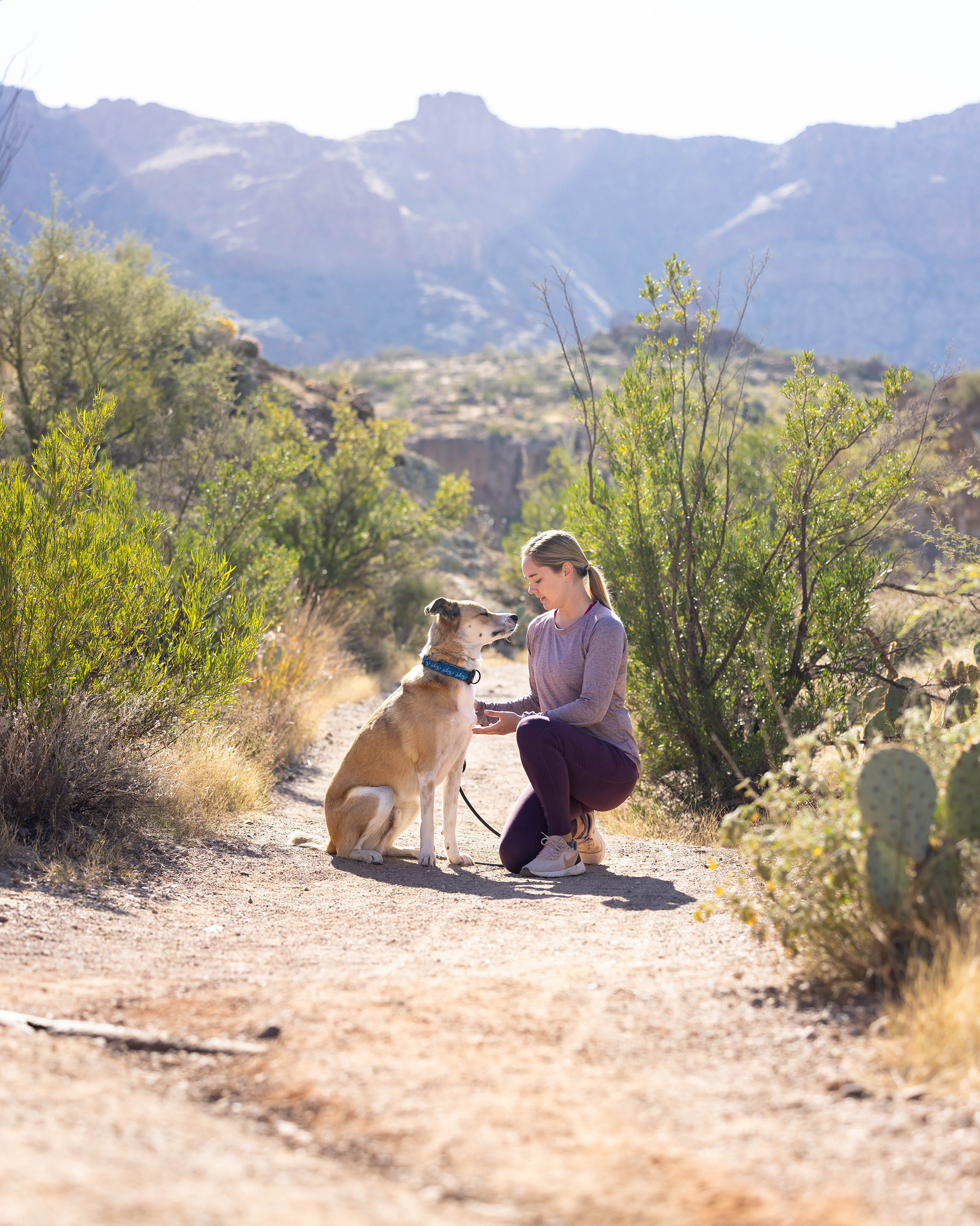 Boyce Thompson Arboretum