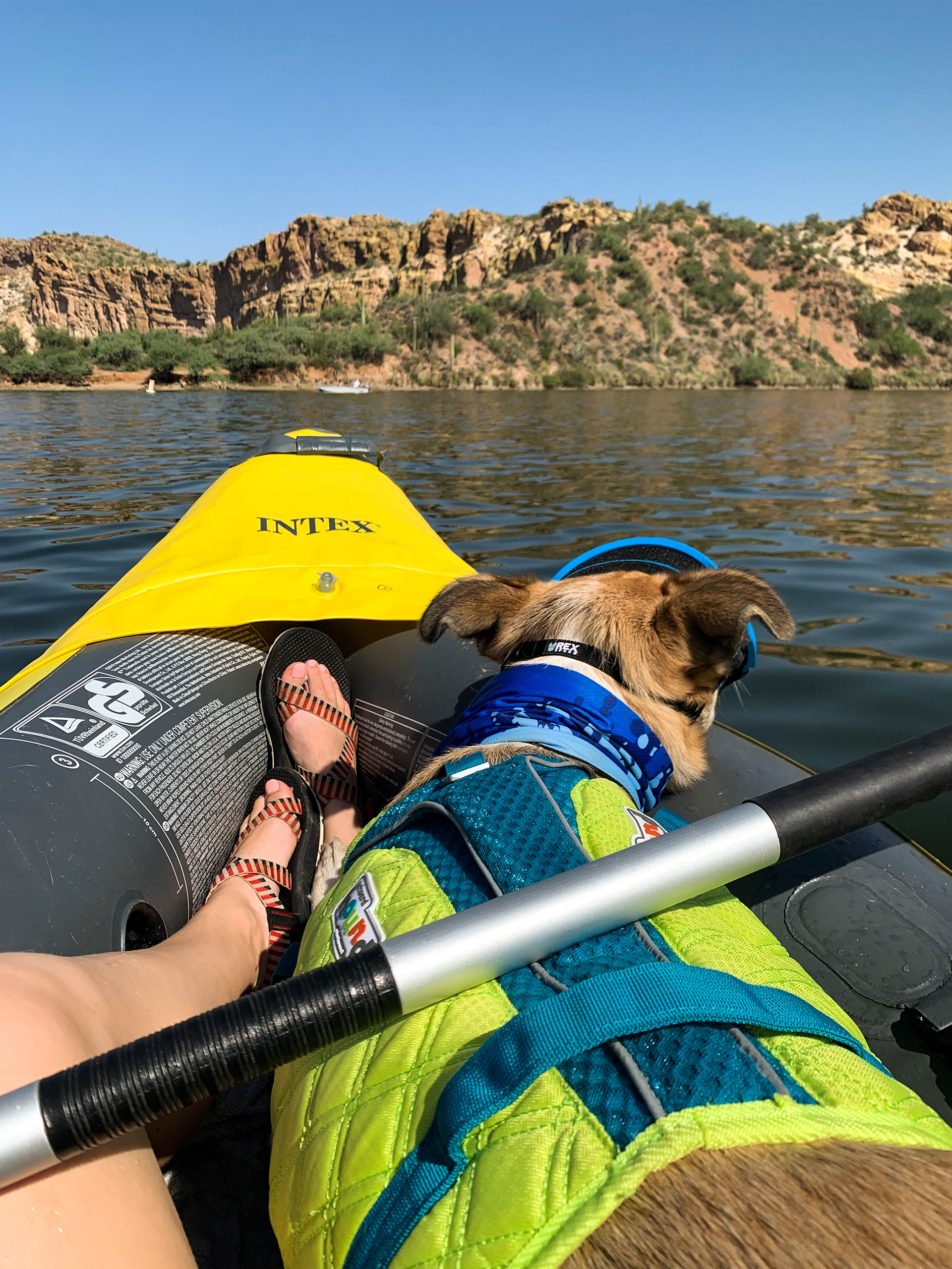 Saguaro Lake, AZ