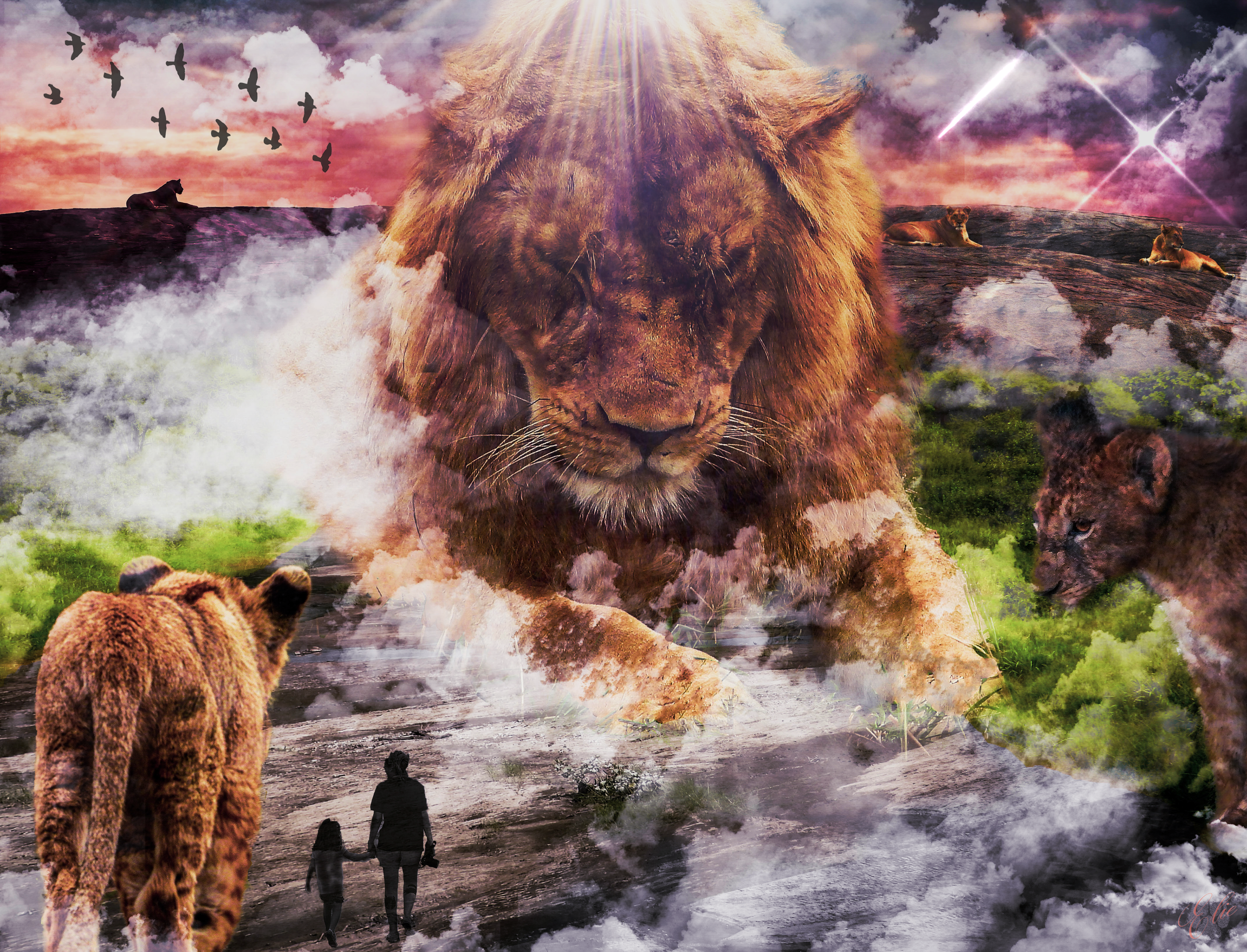 In The Court Of The King