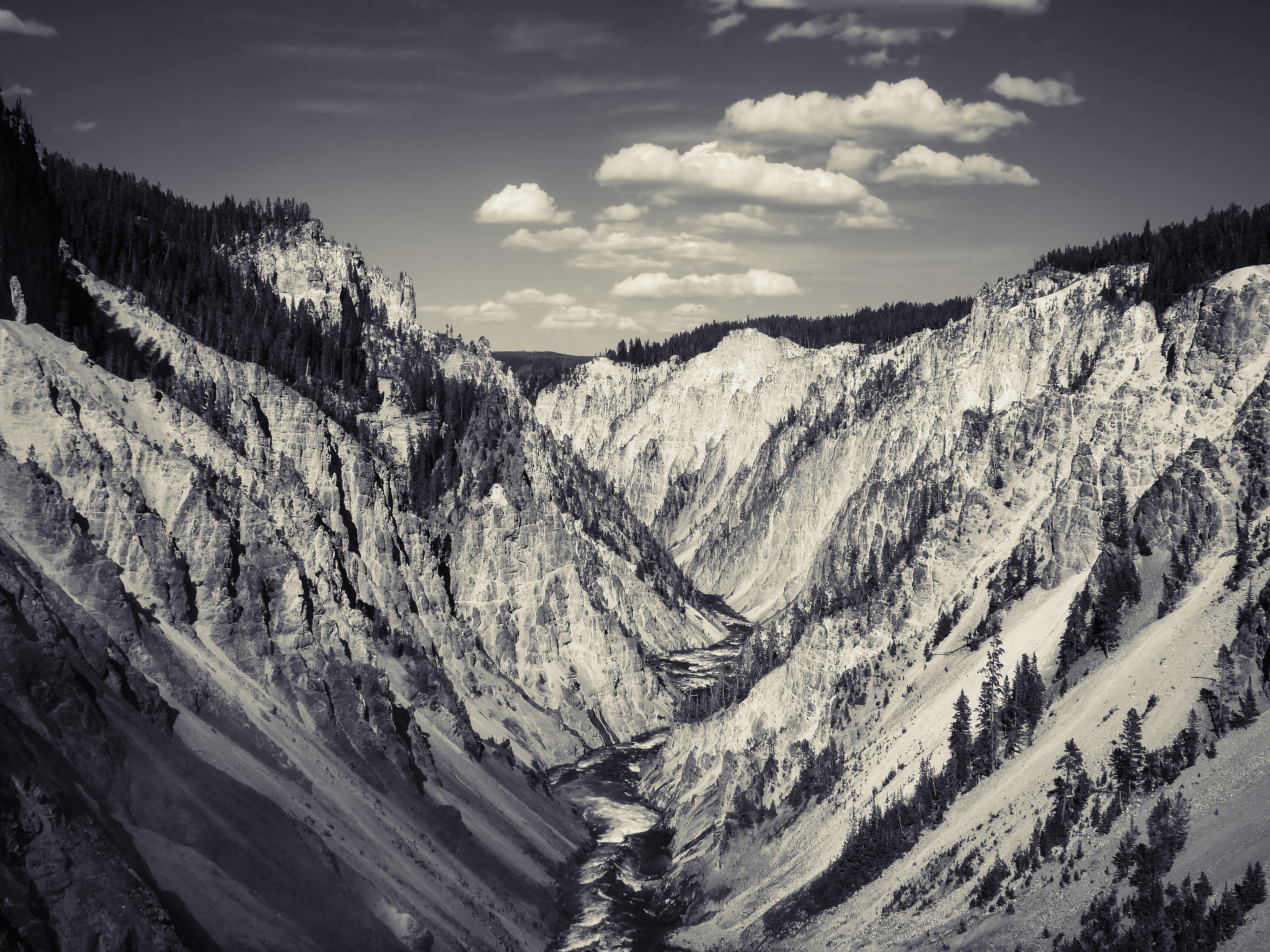 Grand Canyon Of Yellowstone