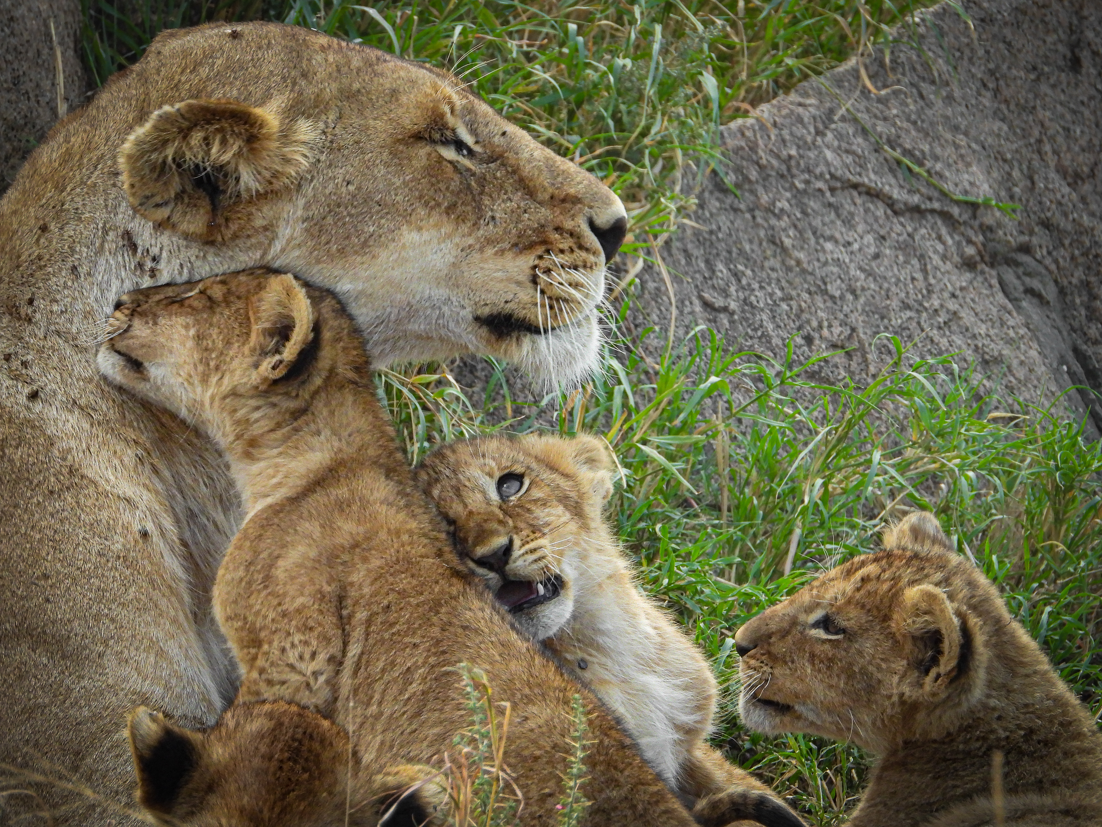 Outdoor Photographer Photo Of the Day November 2021