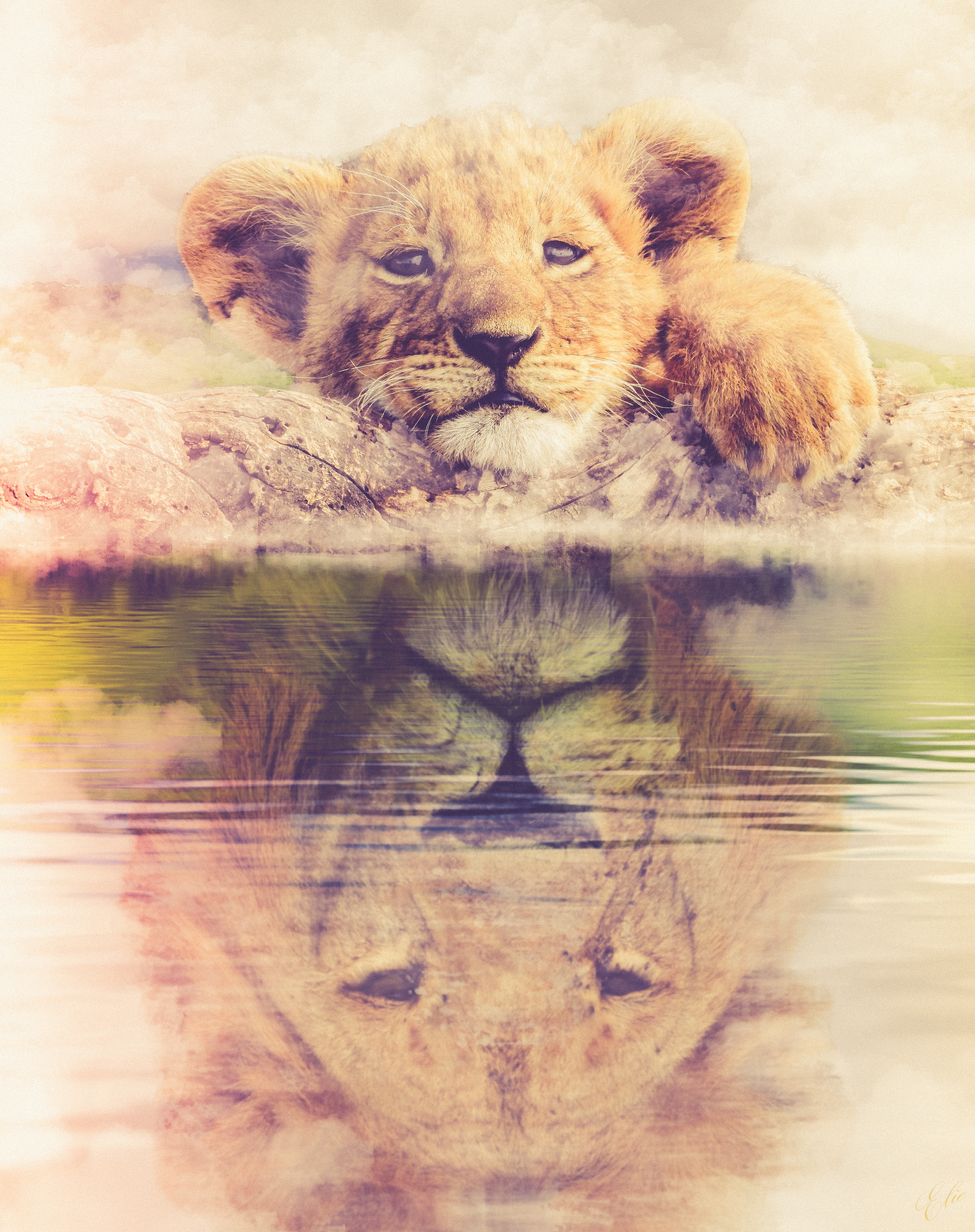 The Knowing