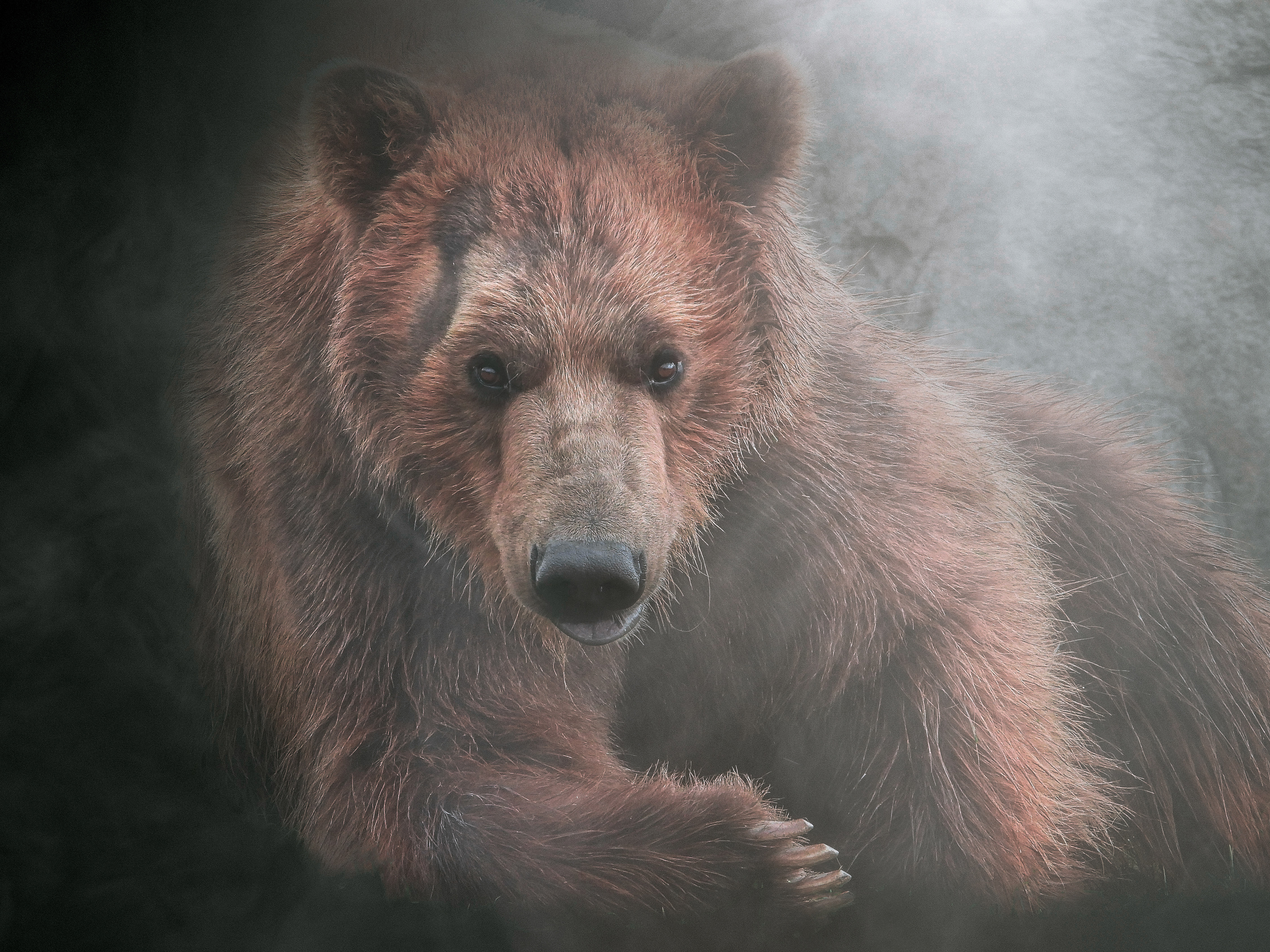 1st Place In Photography, SOBO Art Gallery Annual 2023