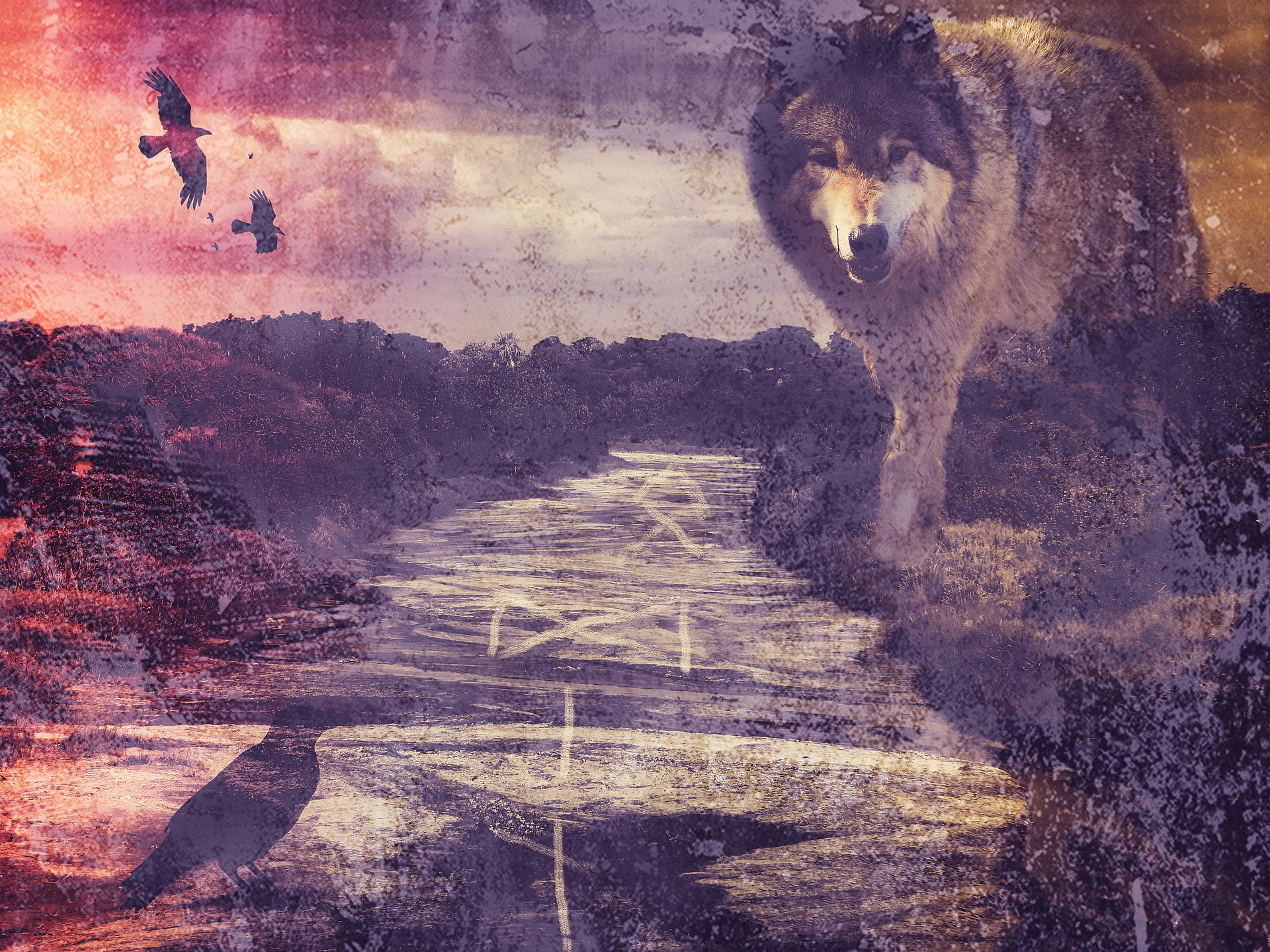 Companions Of Odin, No. 4
