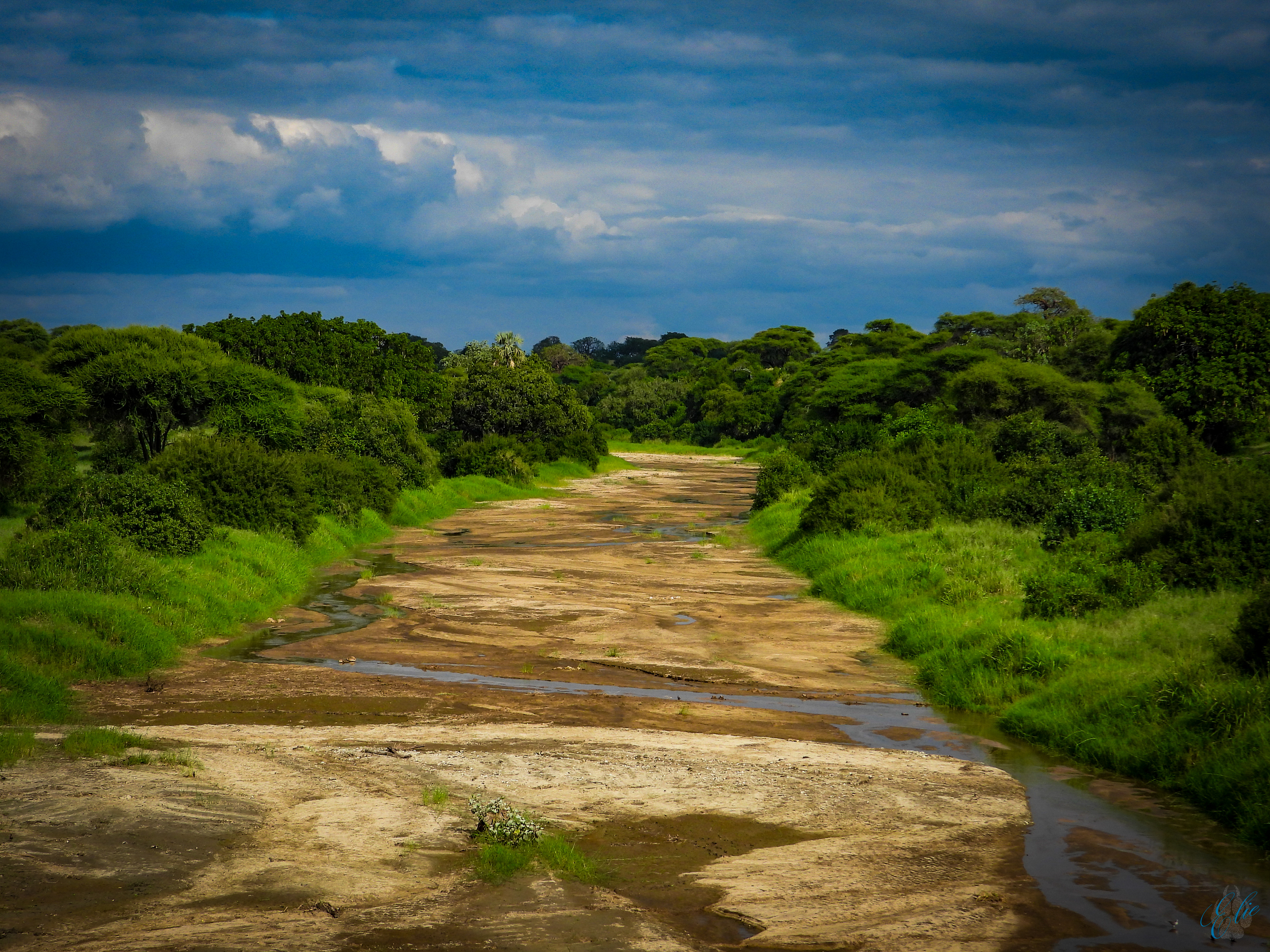 Tarangire River Bed