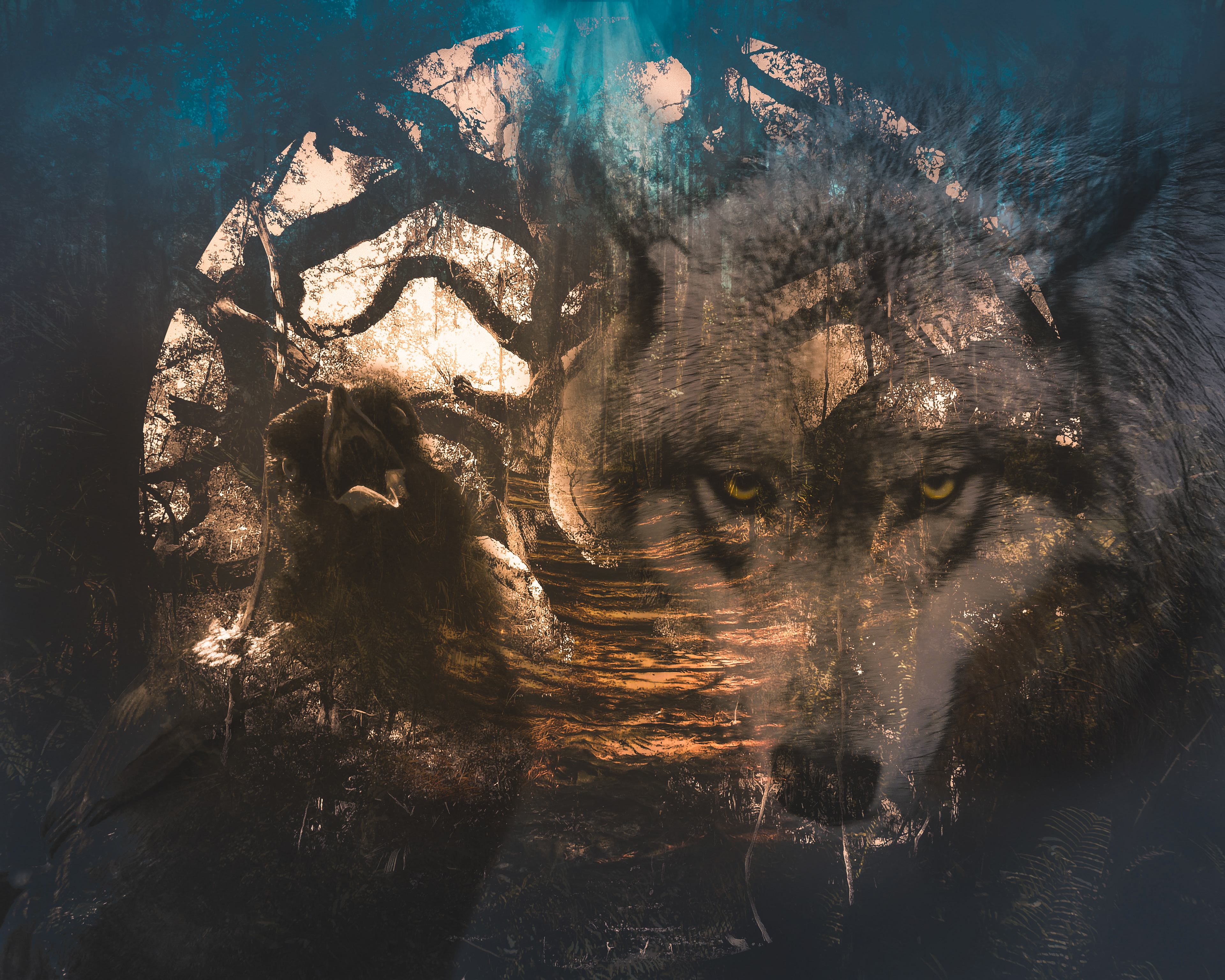 Companions Of Odin, No. 1