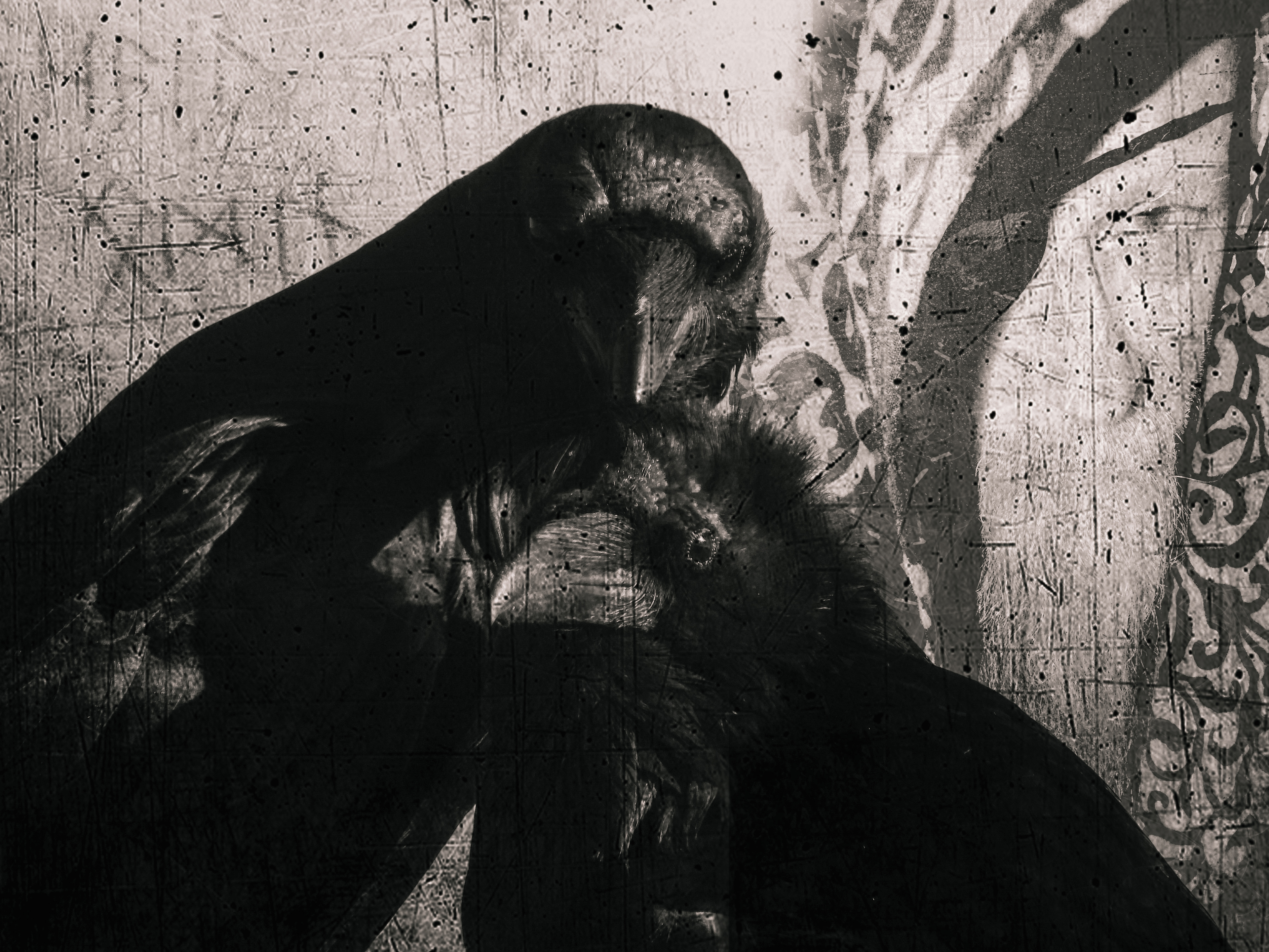 Huginn & Muninn
