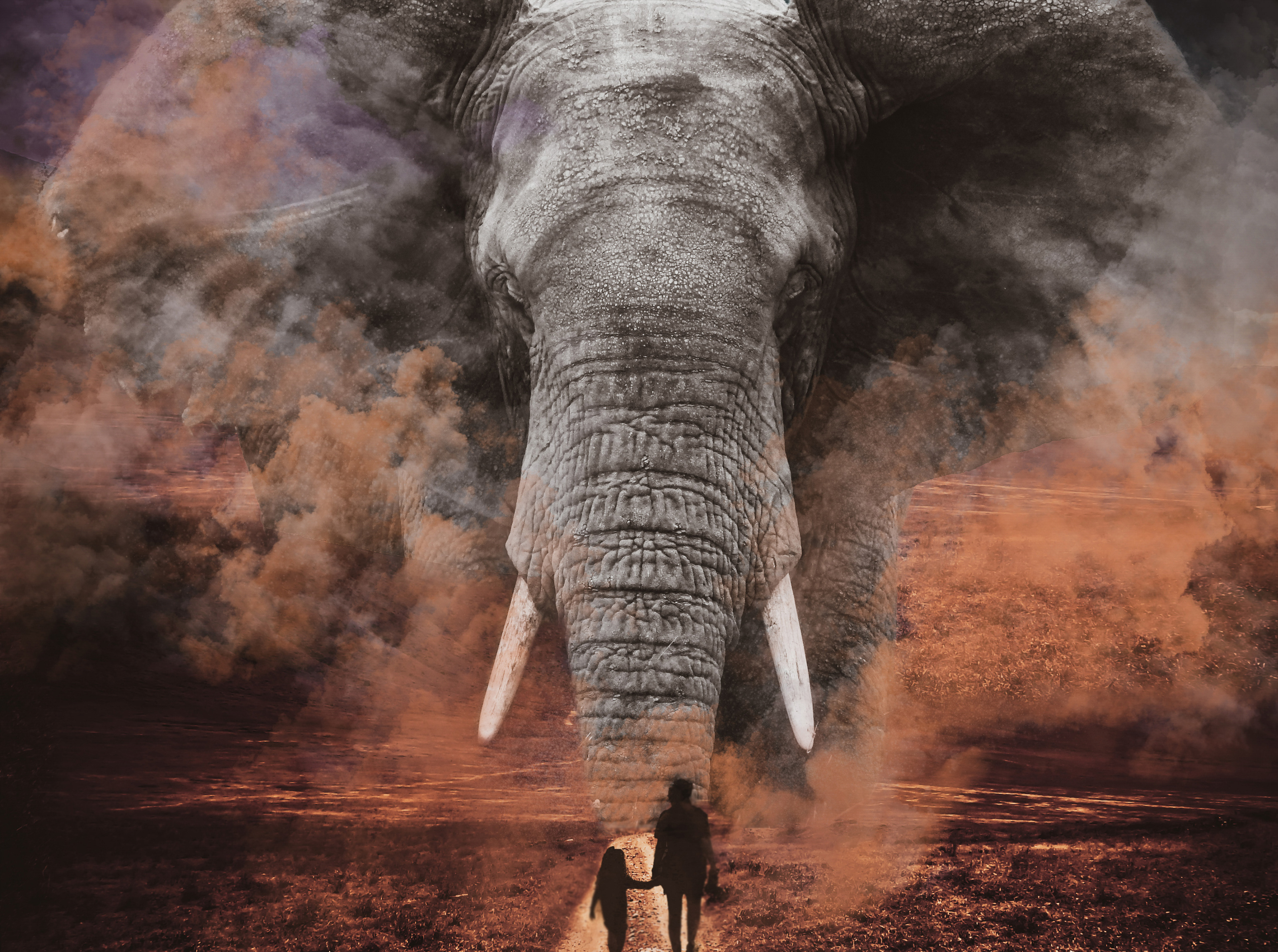 Into The Wild - SOBO Gallery Earthworks Group Exhibition 2020, Benjamin Mkapa African Wildlife Photography 2022 - Nairobi National Museum
