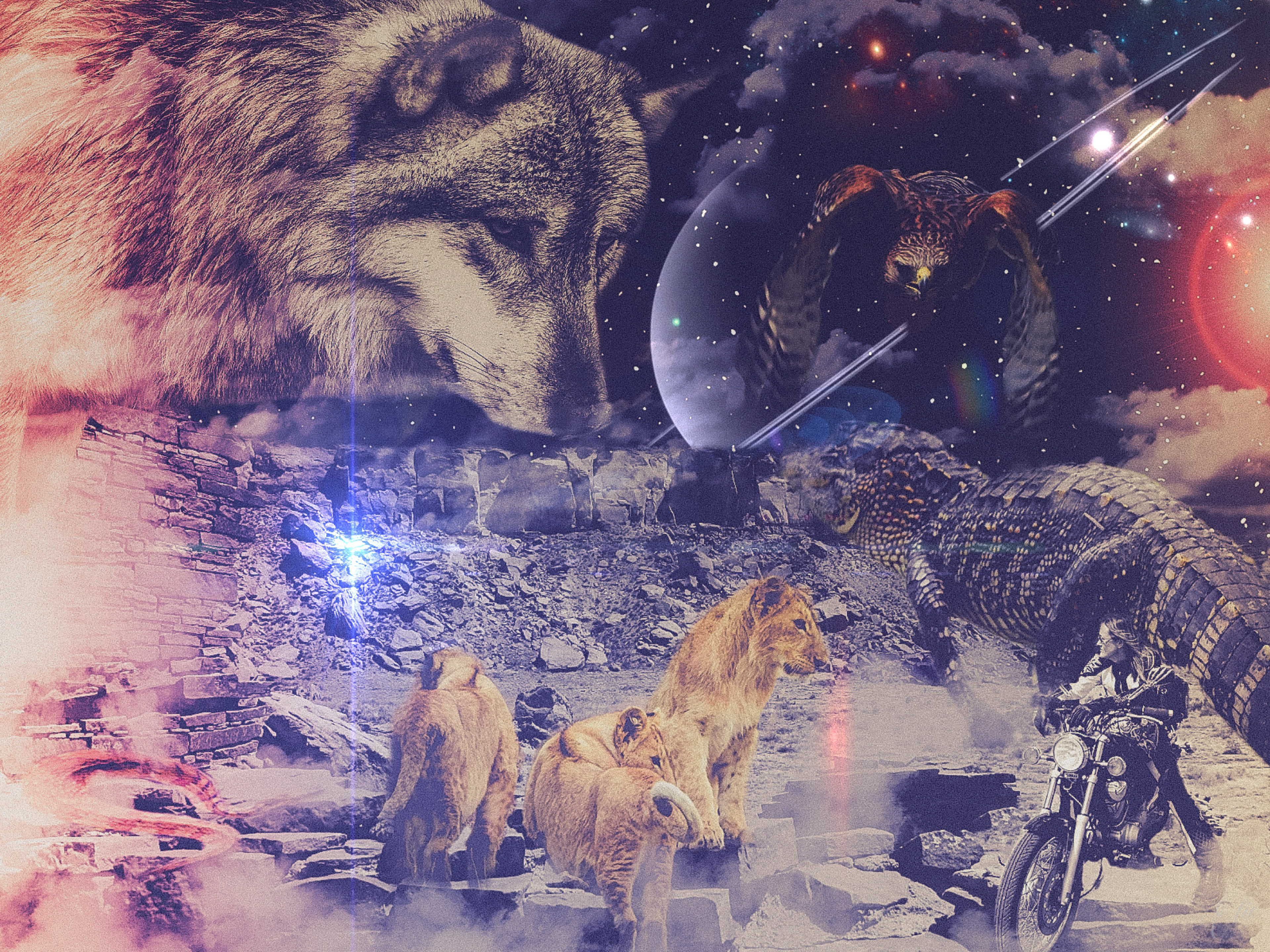 My Teachers, My Totems
