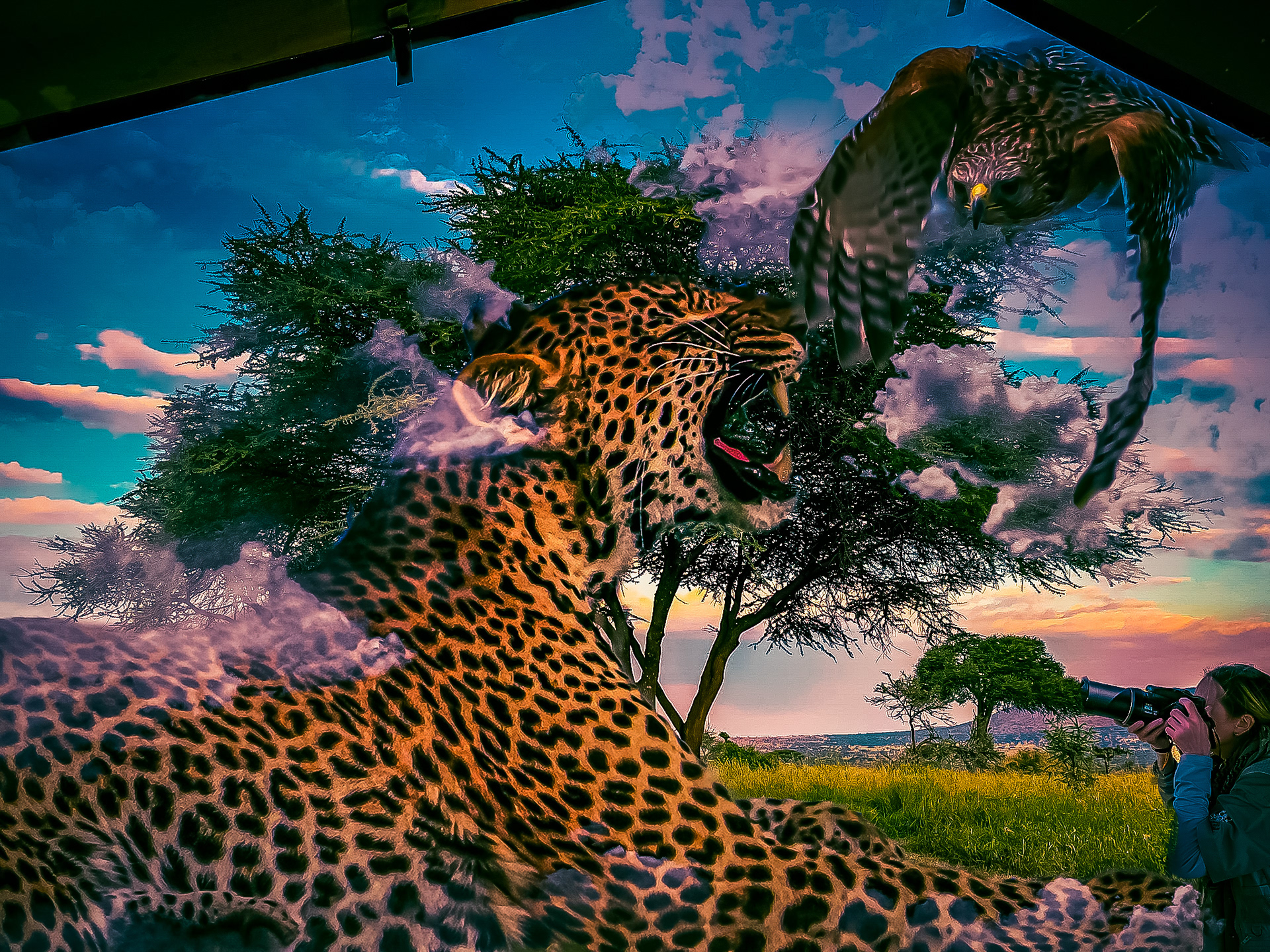 A View From The Tent