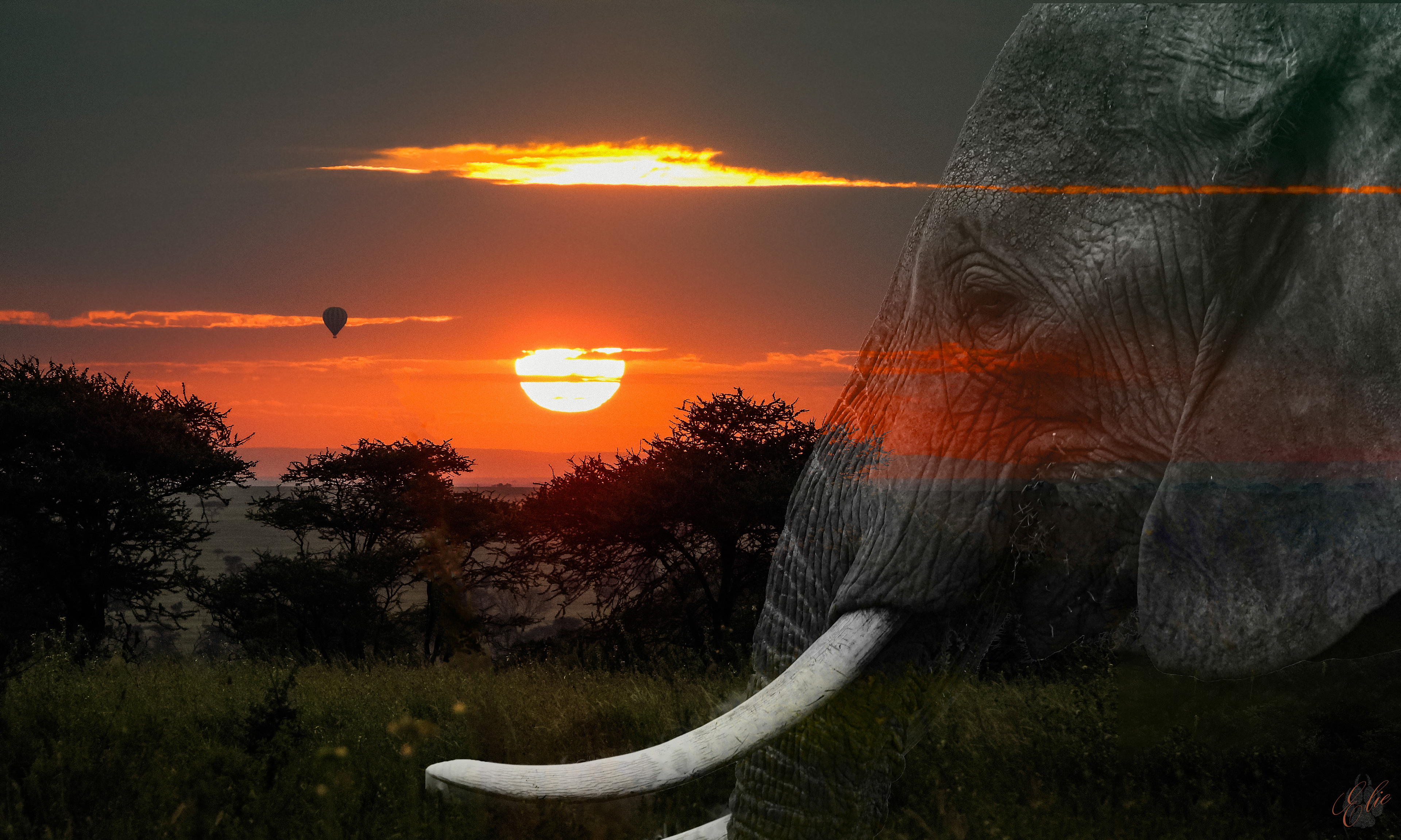Serengeti Sunrise