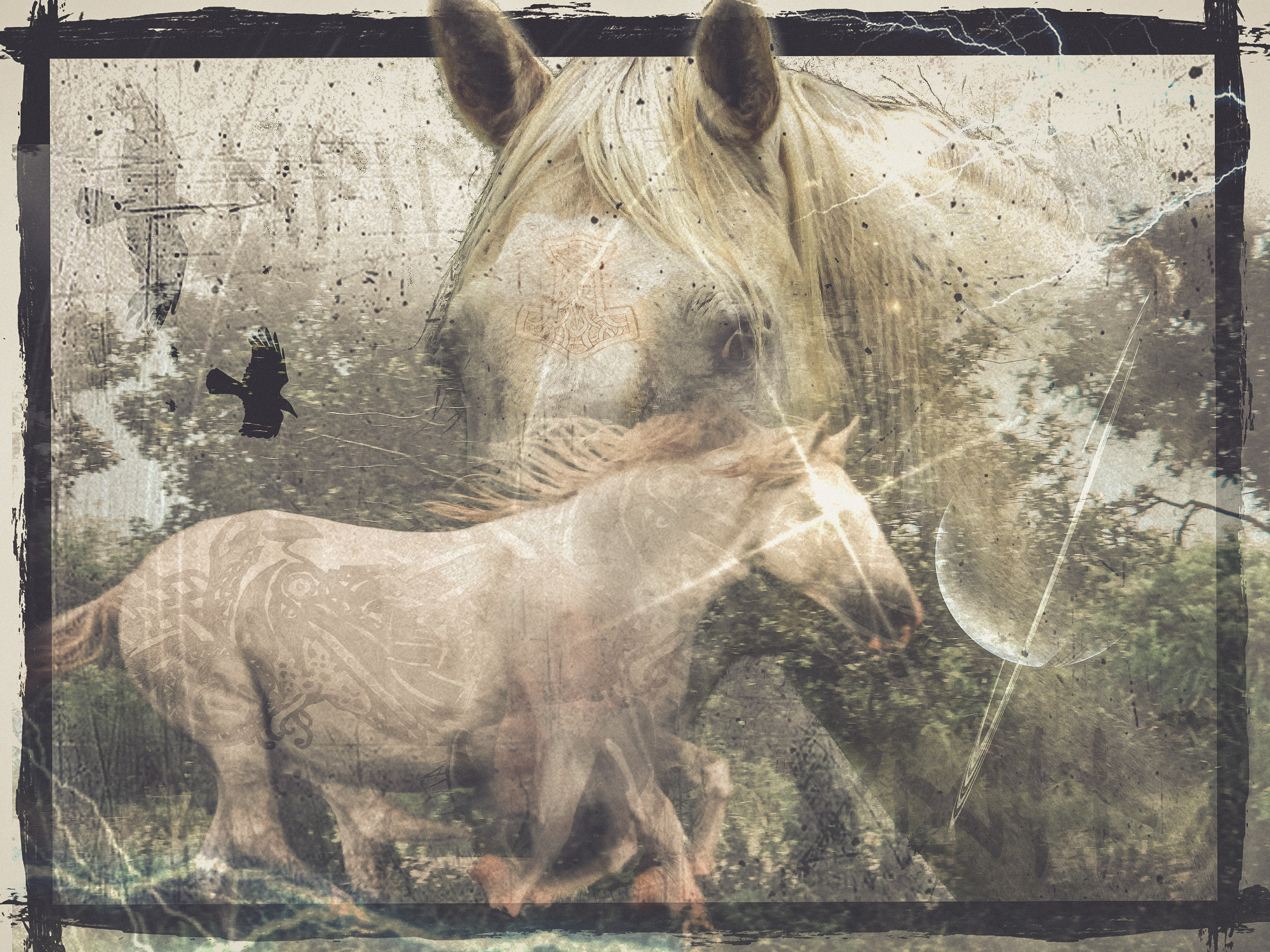 Visions Of Sleipnir