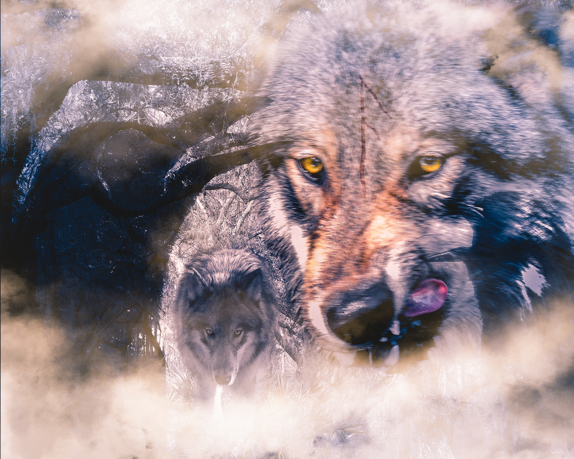 Companions Of Odin, No. 2