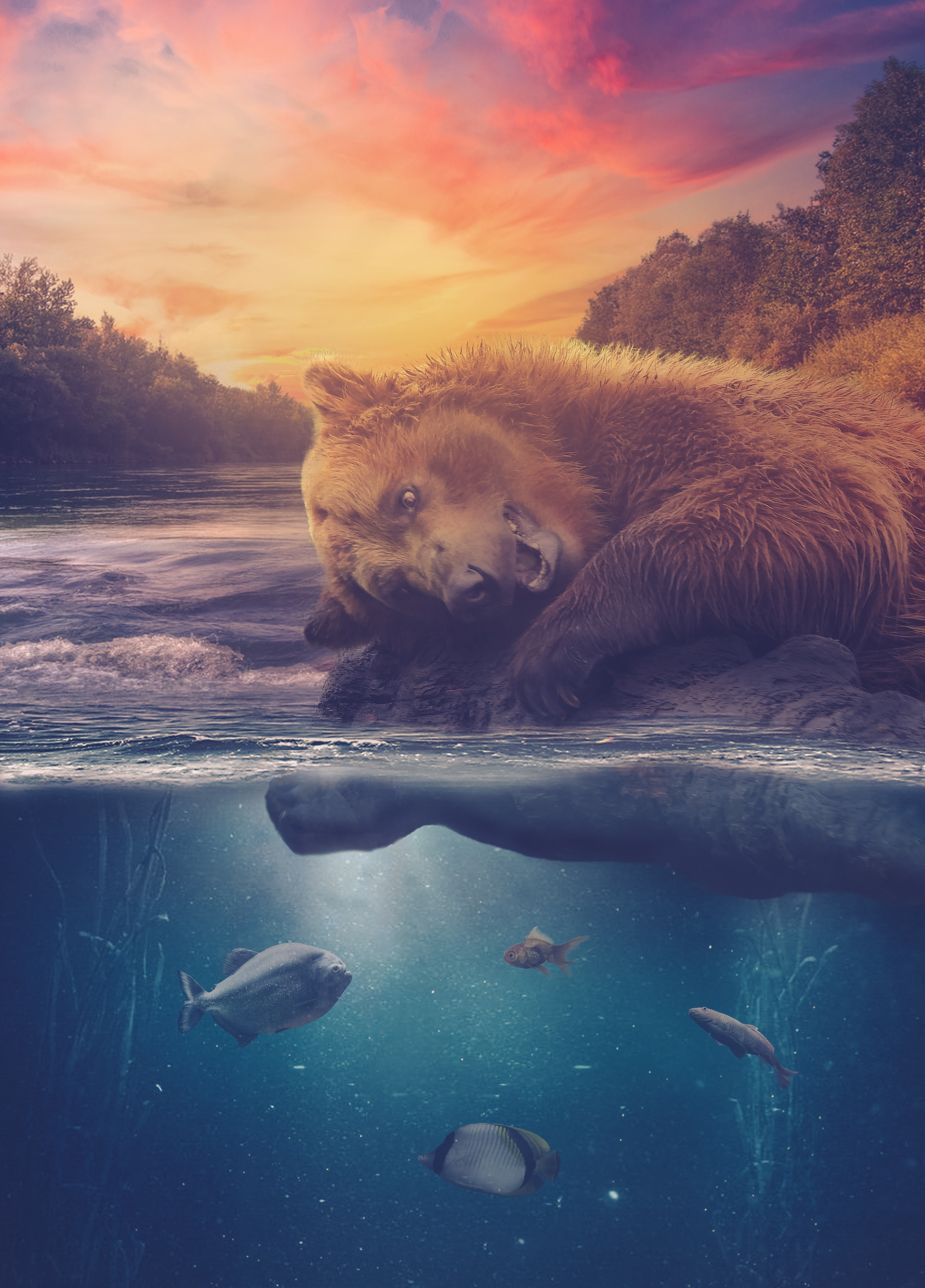 Grizzly Playground