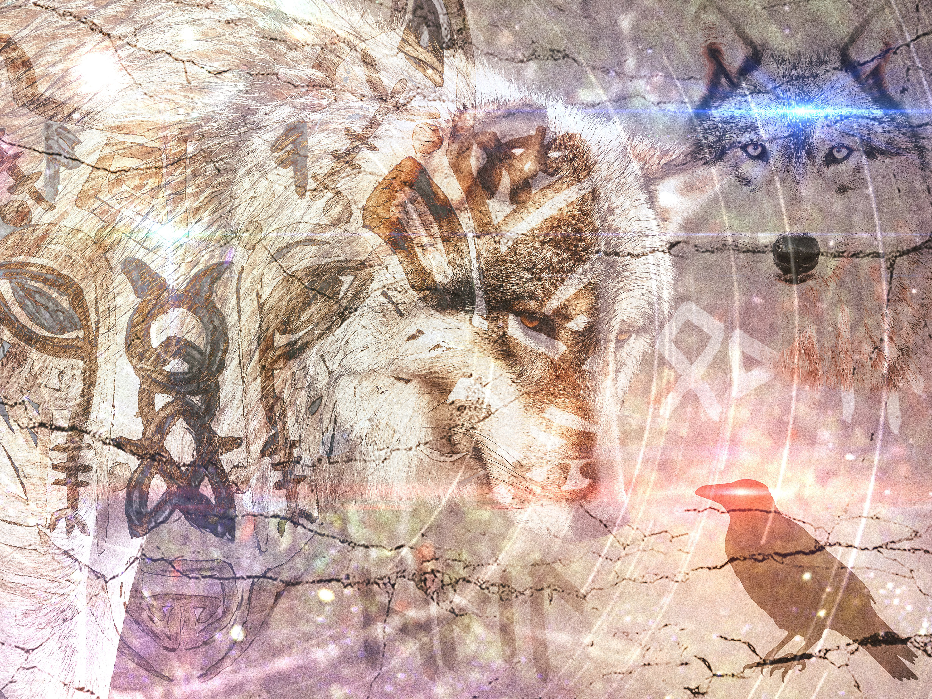 Companions Of Odin, No. 5