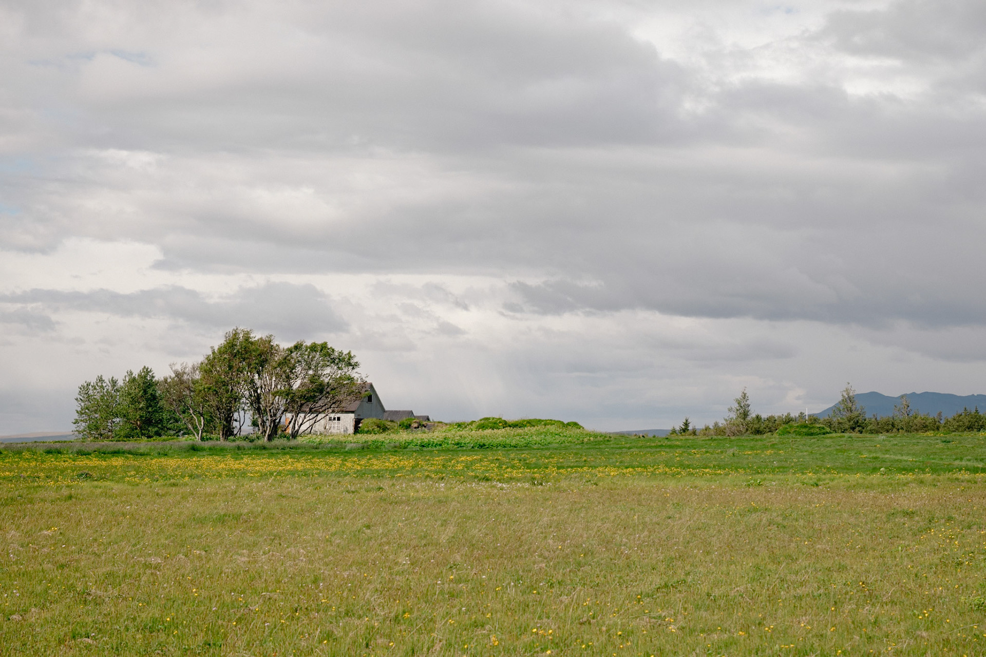 Pastoral scene near Seljalandsfoss waterfall