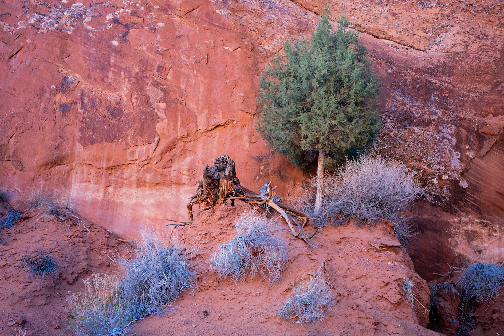 Monument Valley, Navajo Nation, March 2024