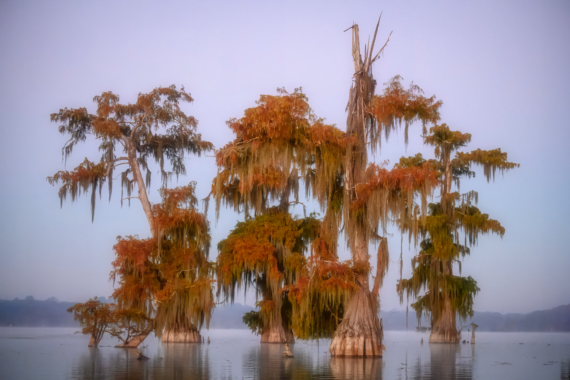 Lake Martin, Louisiana