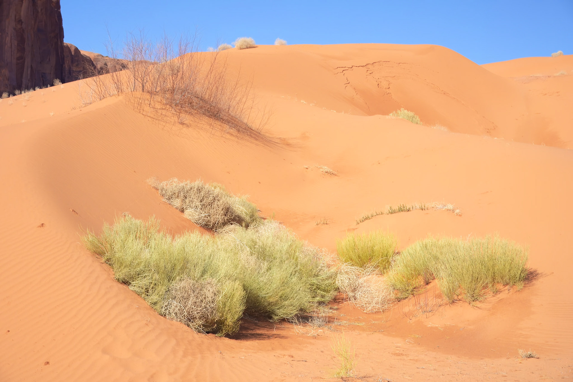 Monument Valley, Navajo Nation, March 2024