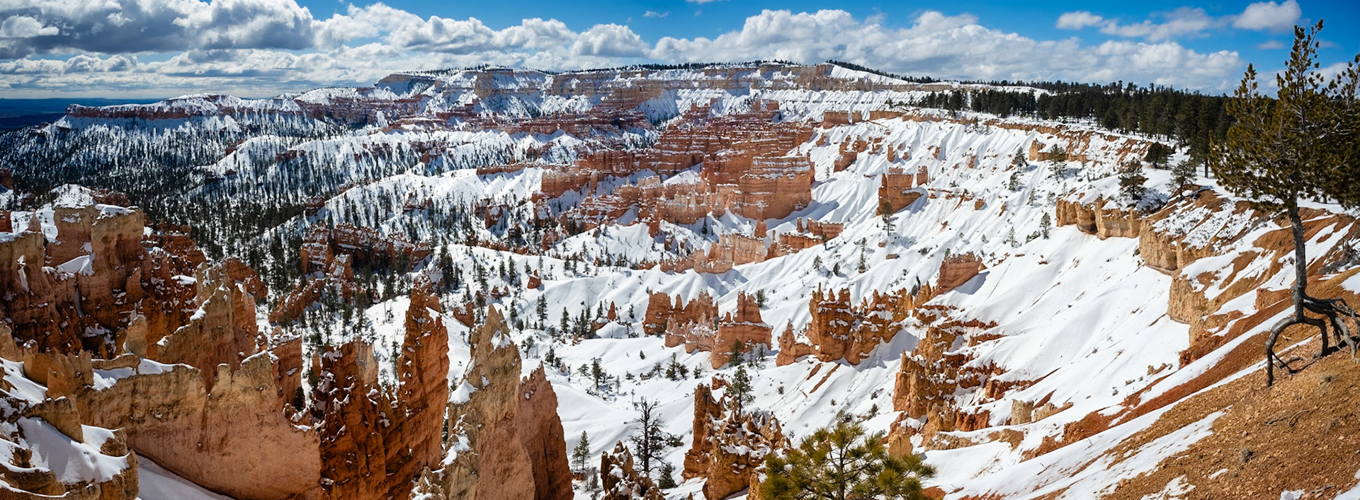Bryce Canyon National Park, March 2024