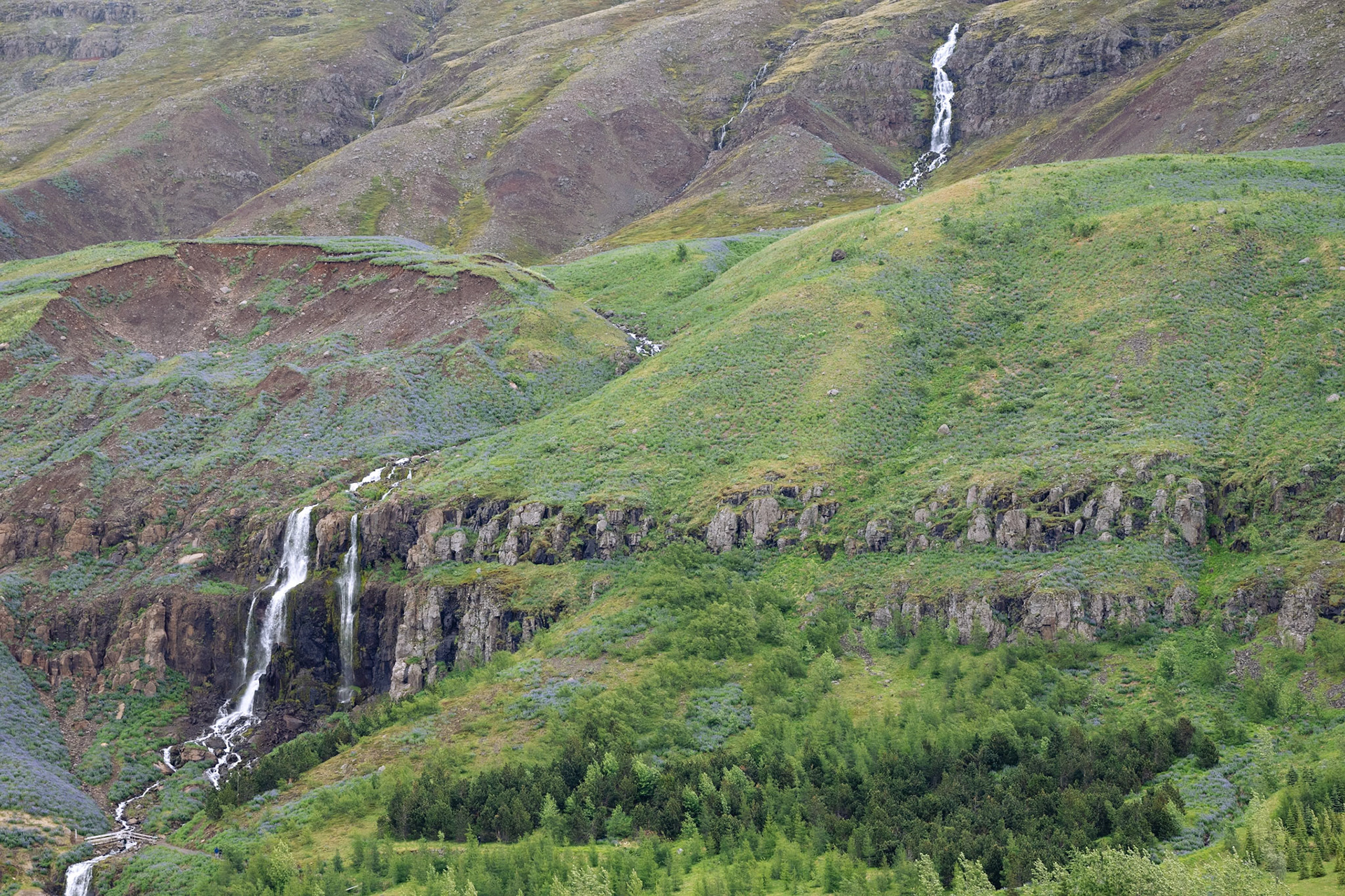 Hillside above Seyðisfjörður
